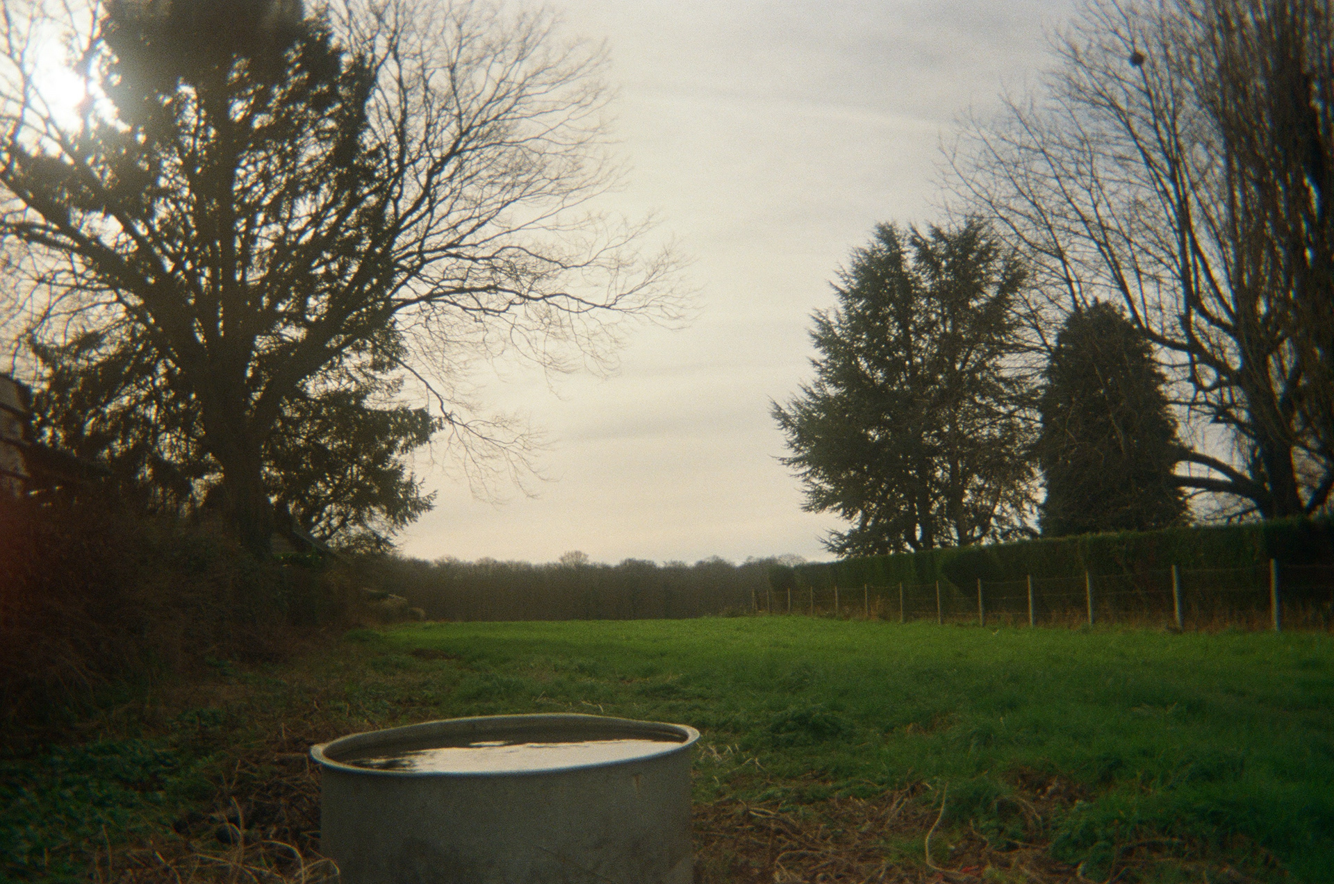 February 2024 || Rosay-sur-Lieure, France || on film