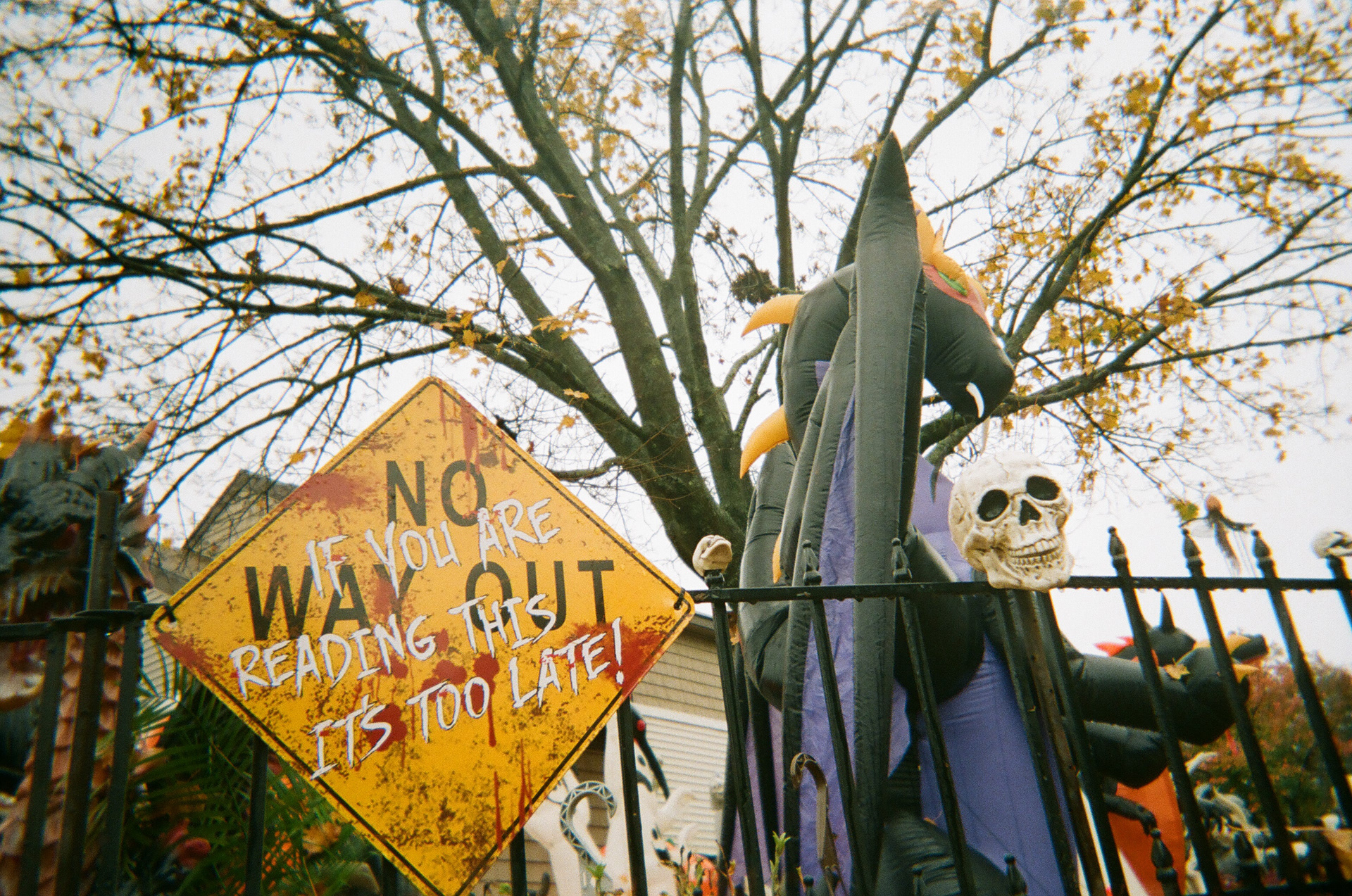 Fall 2019 || Nashua, NH || on film