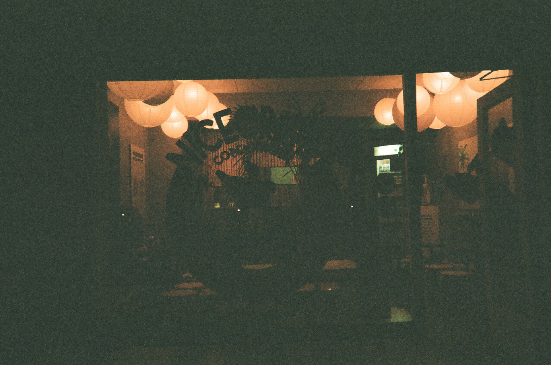 Nice Cream || September 2019 || Copenhagen, DK || on film