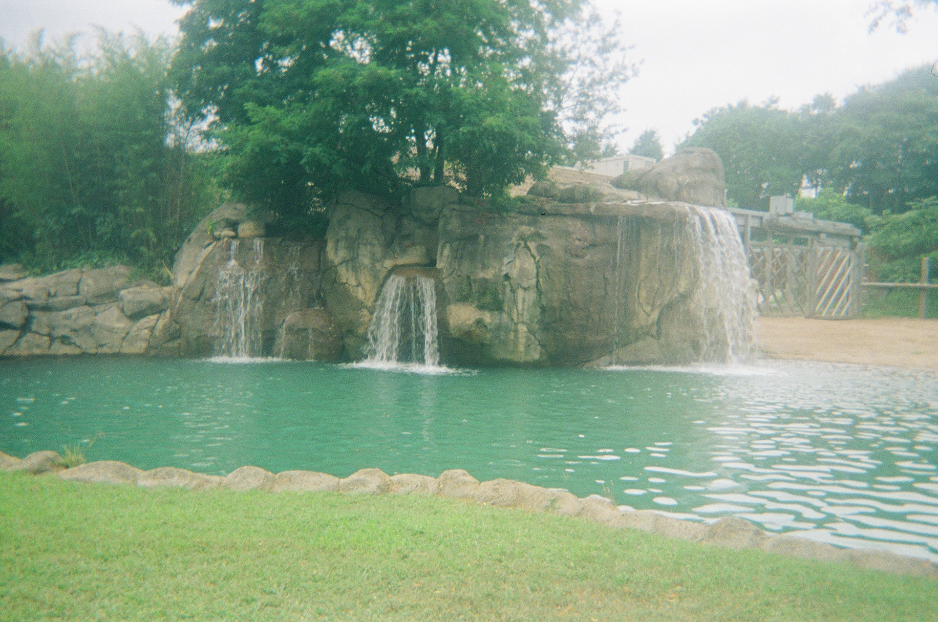 Roger Williams Park Zoo || 2024 || Providence, RI || on film