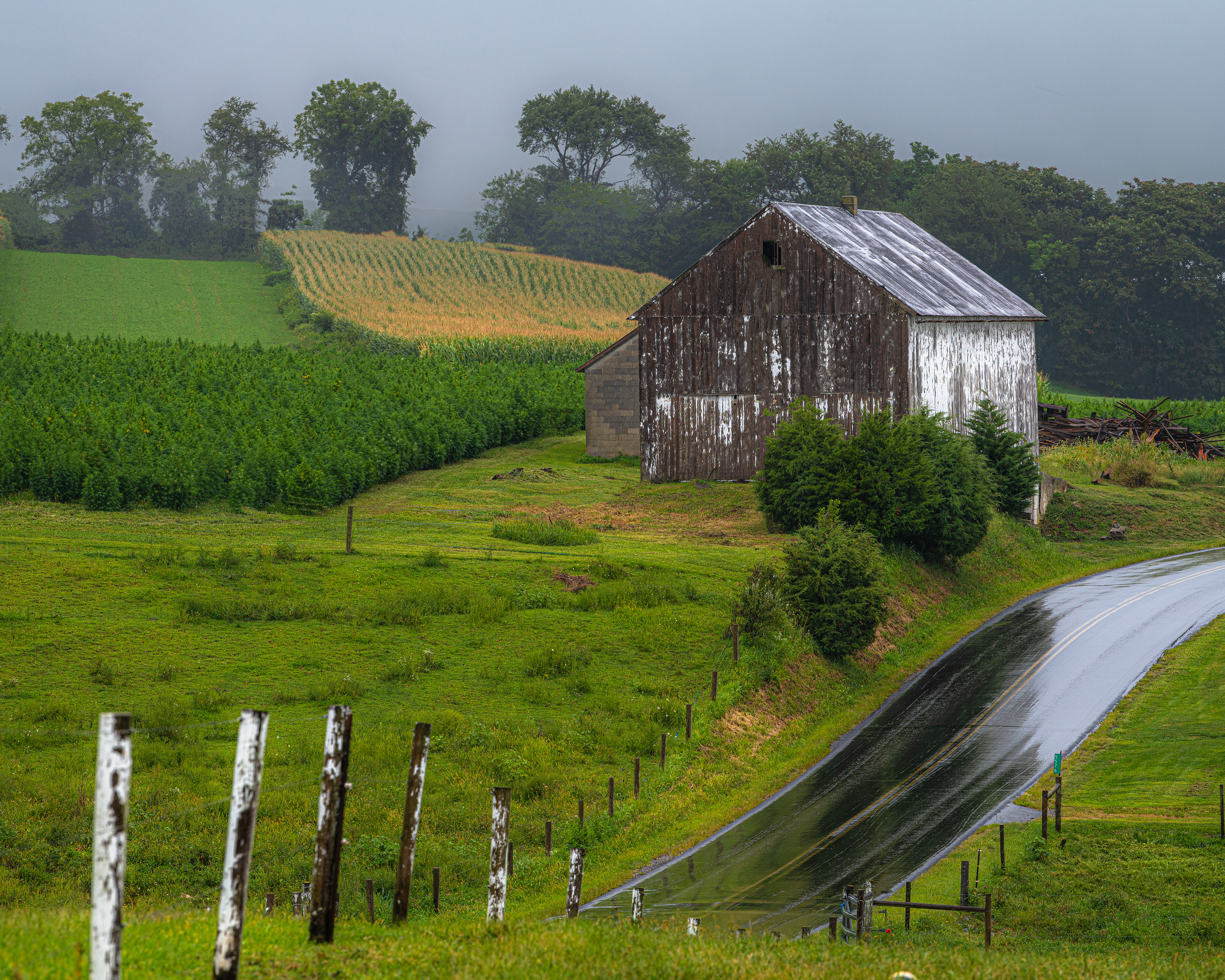 Rainy Day Barn