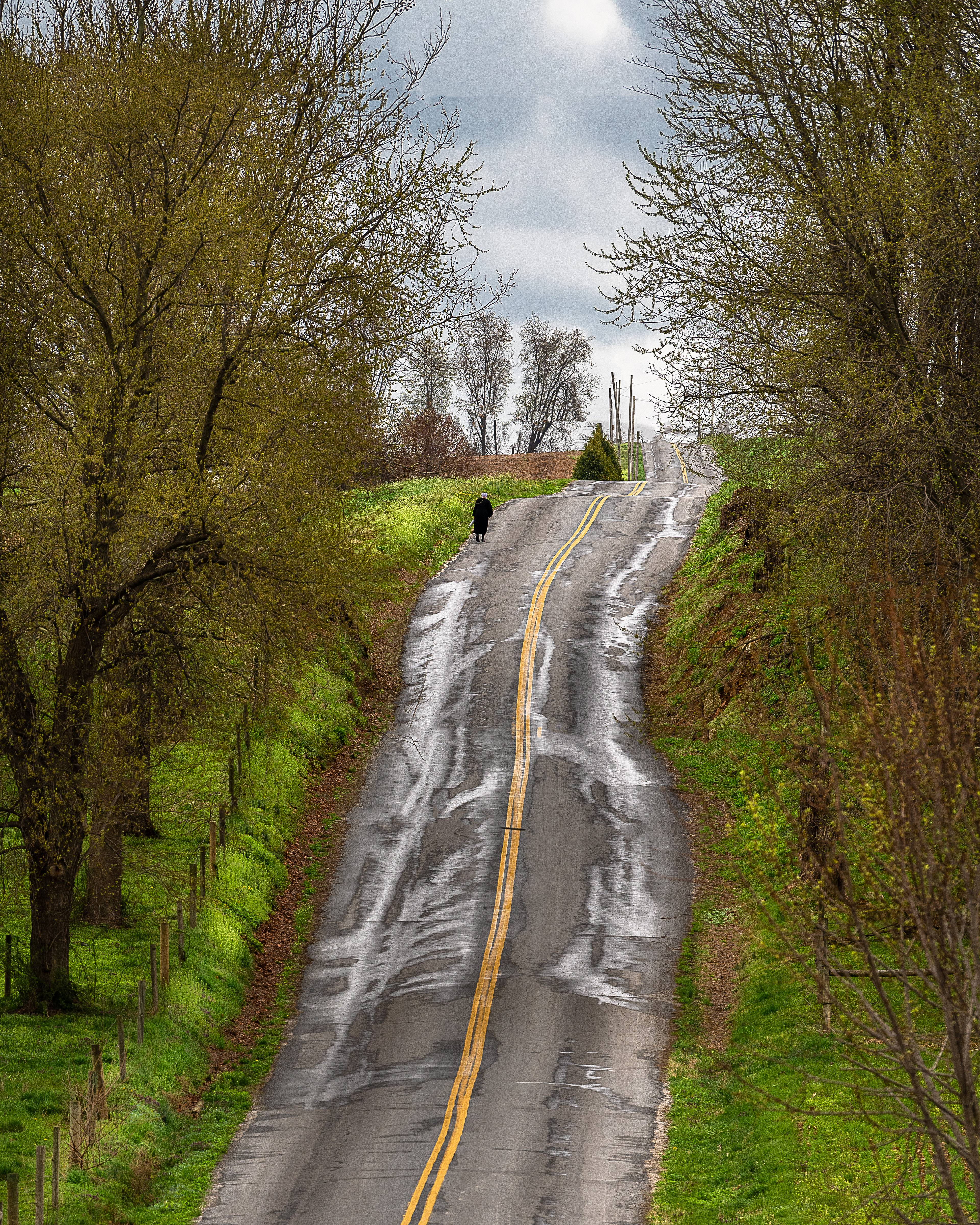 Long Road Home