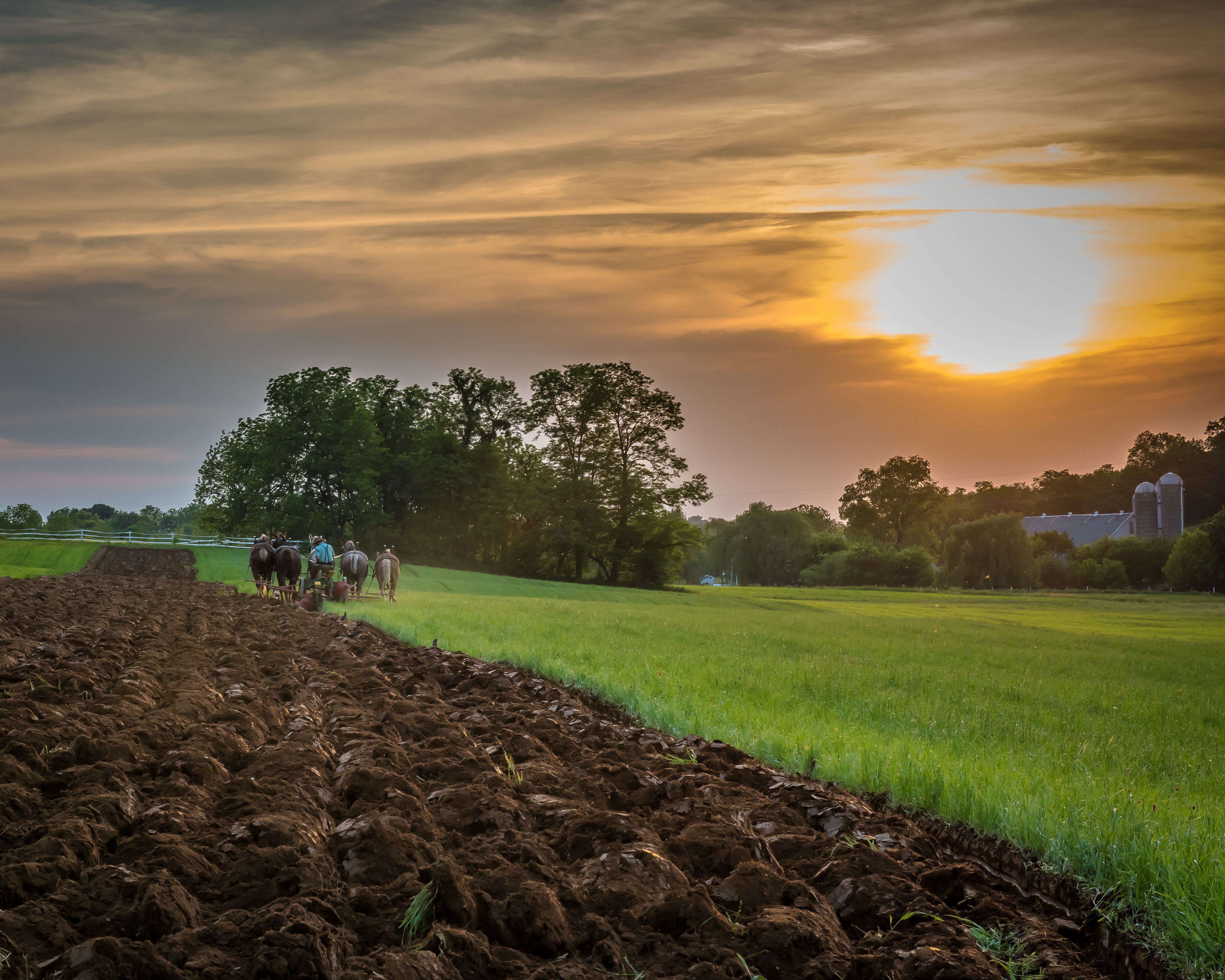 Amish Farm Sunset