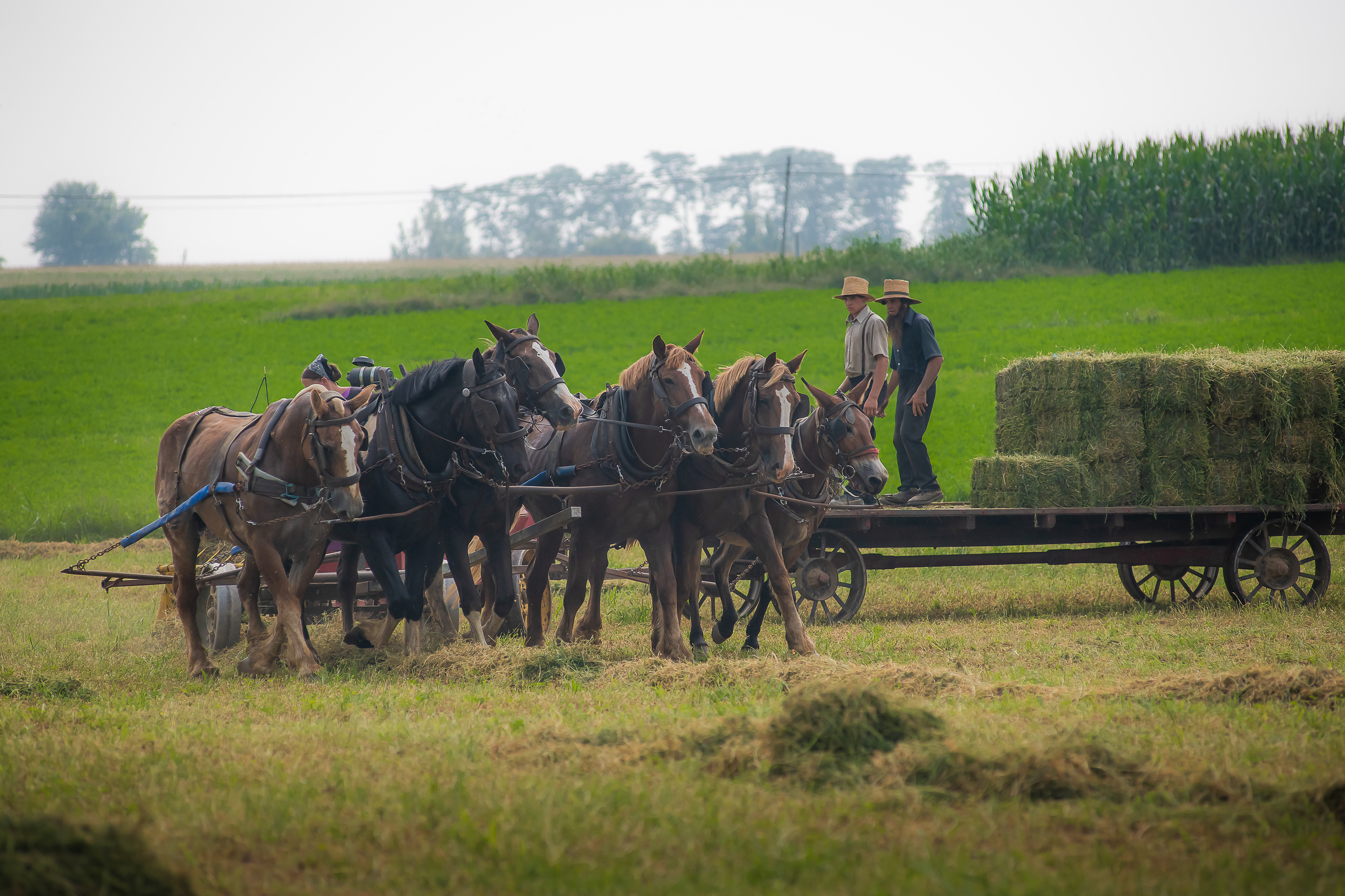 Bailing Hay