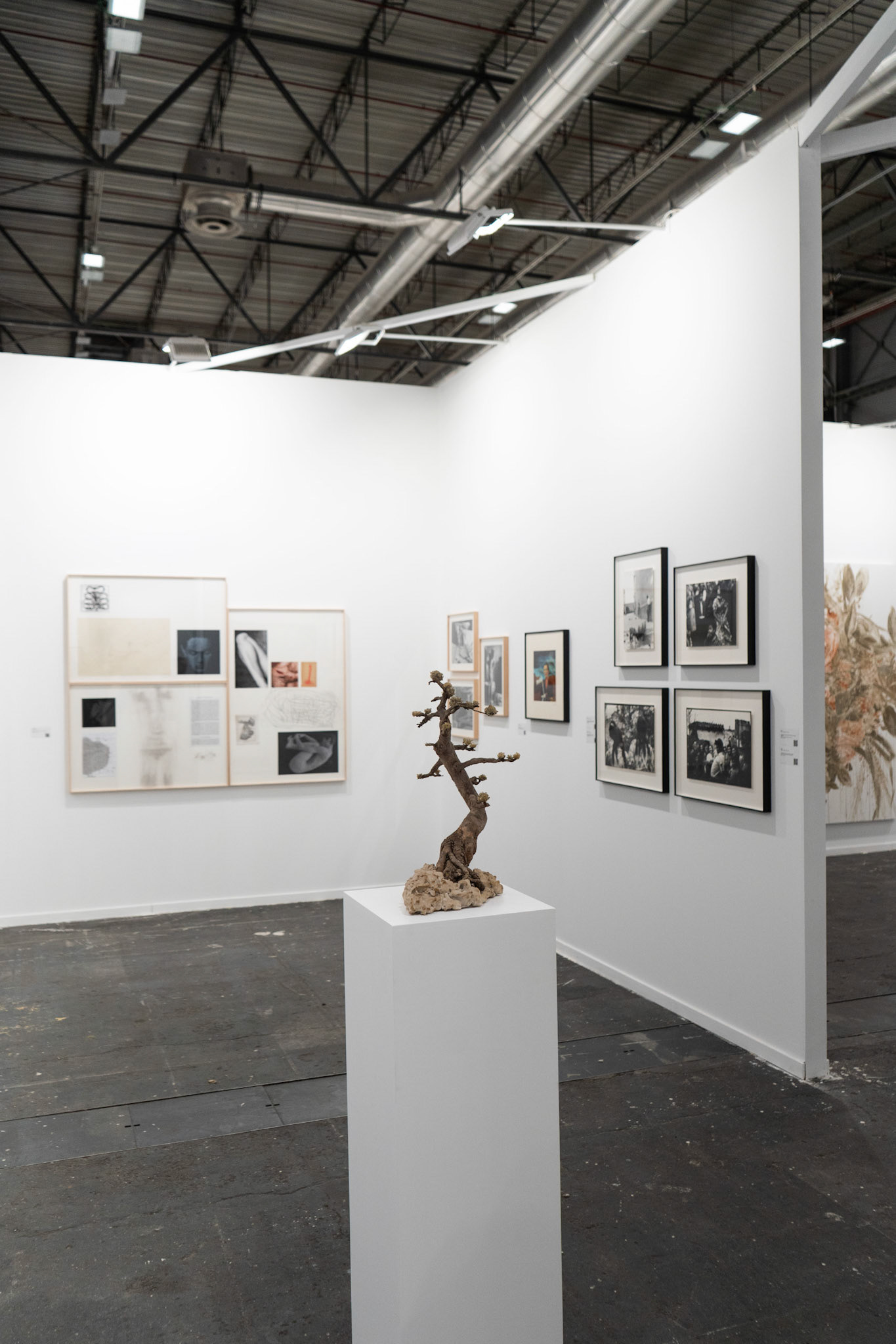 Stand RocioSantaCruz - ARCOmadrid 2025