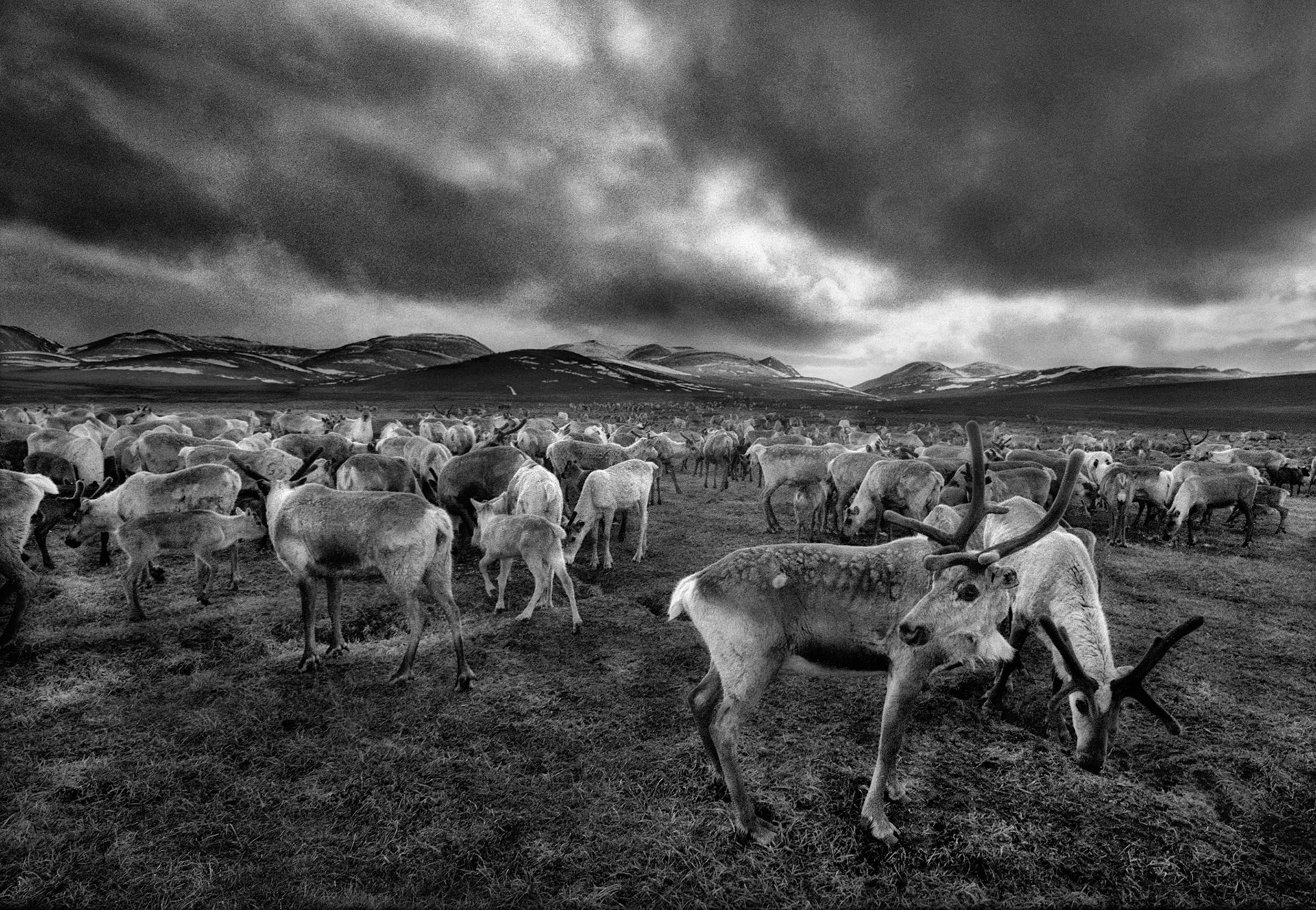 Rennes Mont Verkoiansk Siberia