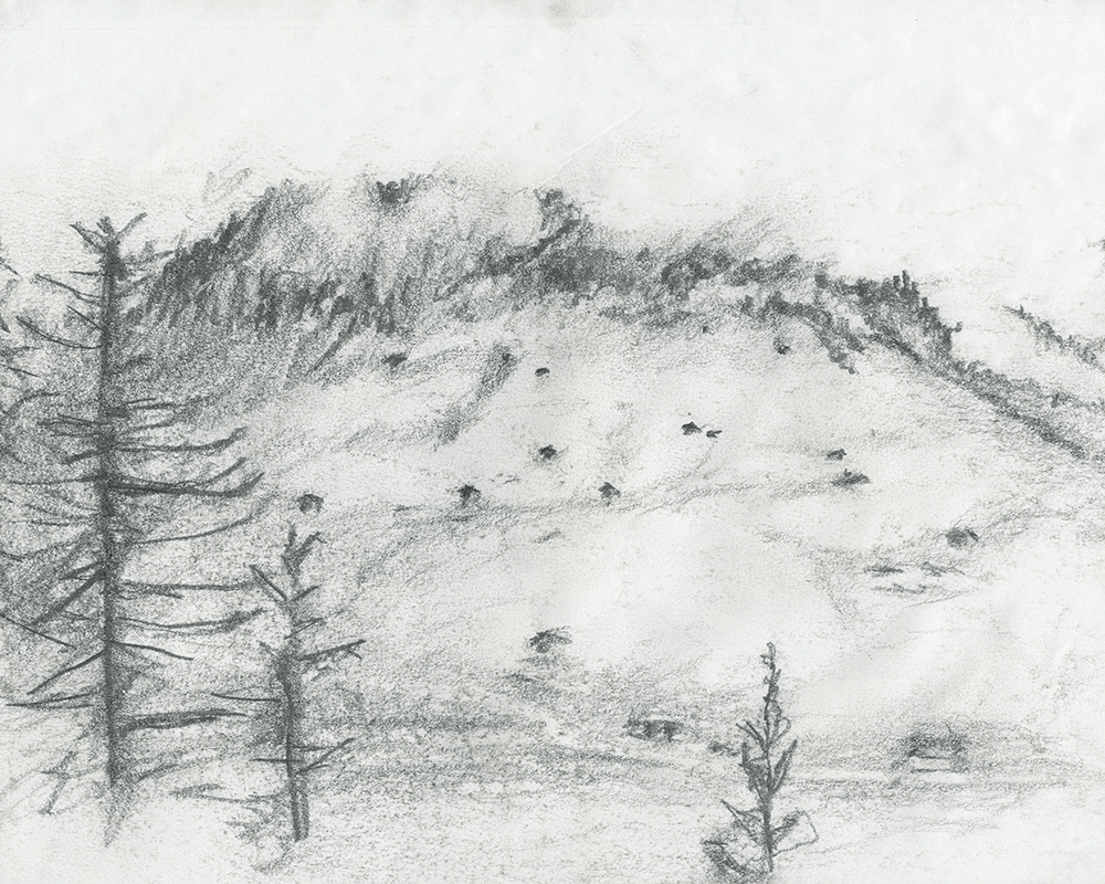 Swiss mountain and valley in Vals, Switzerland with foreground pine trees and traditional farm huts on the mountainside on the other side of the valley in an emotive charcoal sketch by David Sweere
