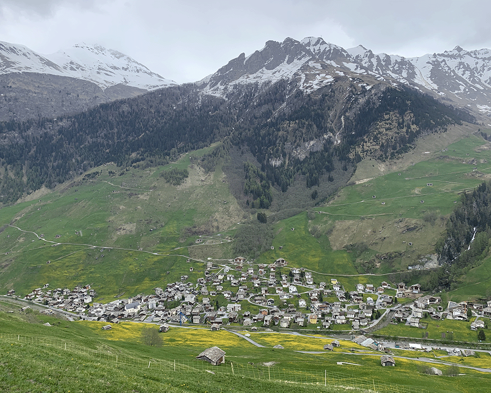Vals, Switzerland valley from the mountainside with snow capped mountains, a band of dark evergreen trees, green grasses, yellow dandelions, and chalets at the base of the valley near the creek 