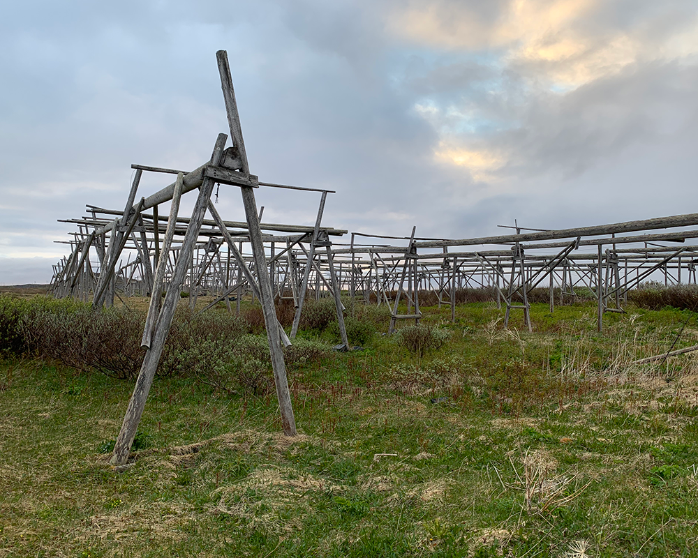 Fish Drying Racks in Vardø, Norway