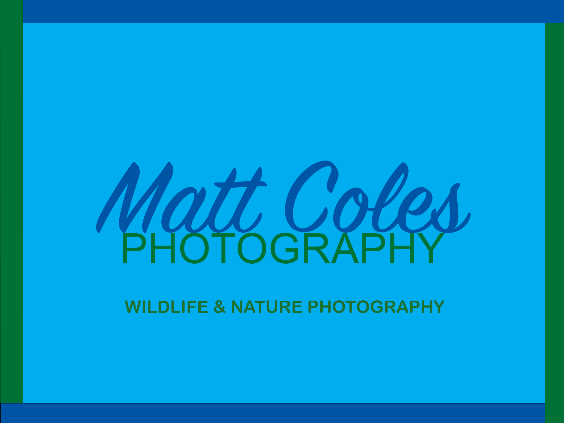 Matt Coles