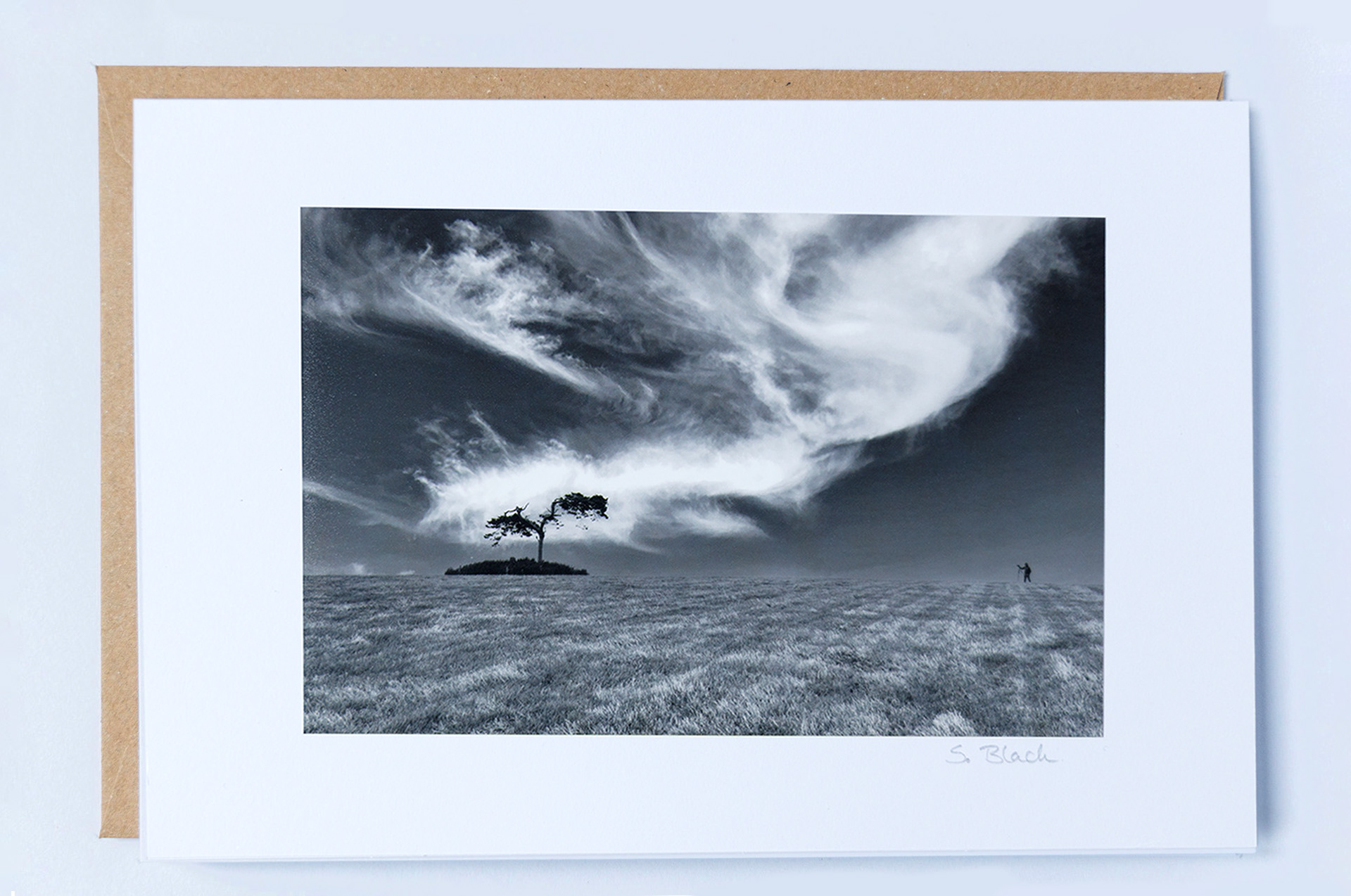 044 - Fairy Tree, Co Louth