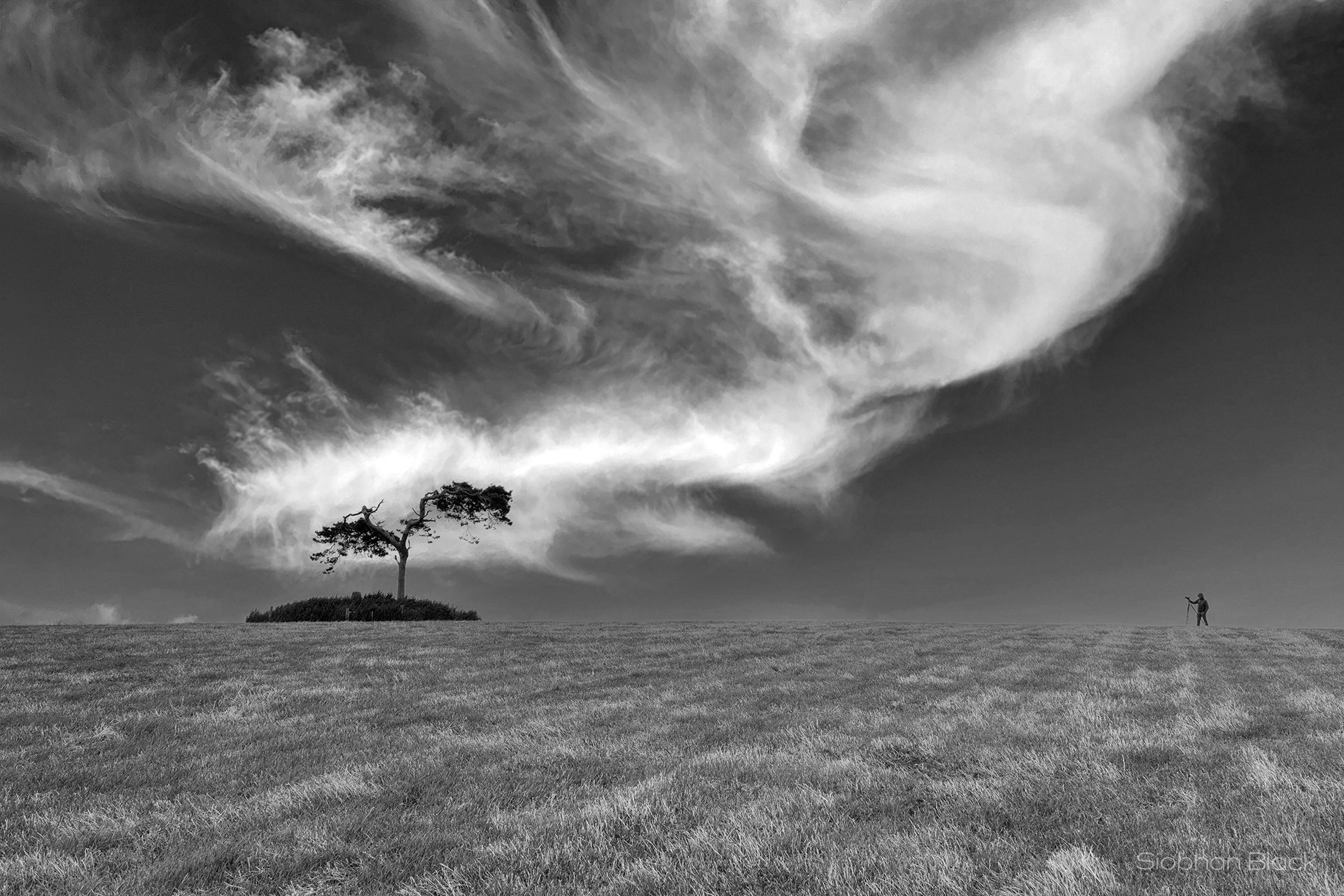 Photographer at Fairy tree