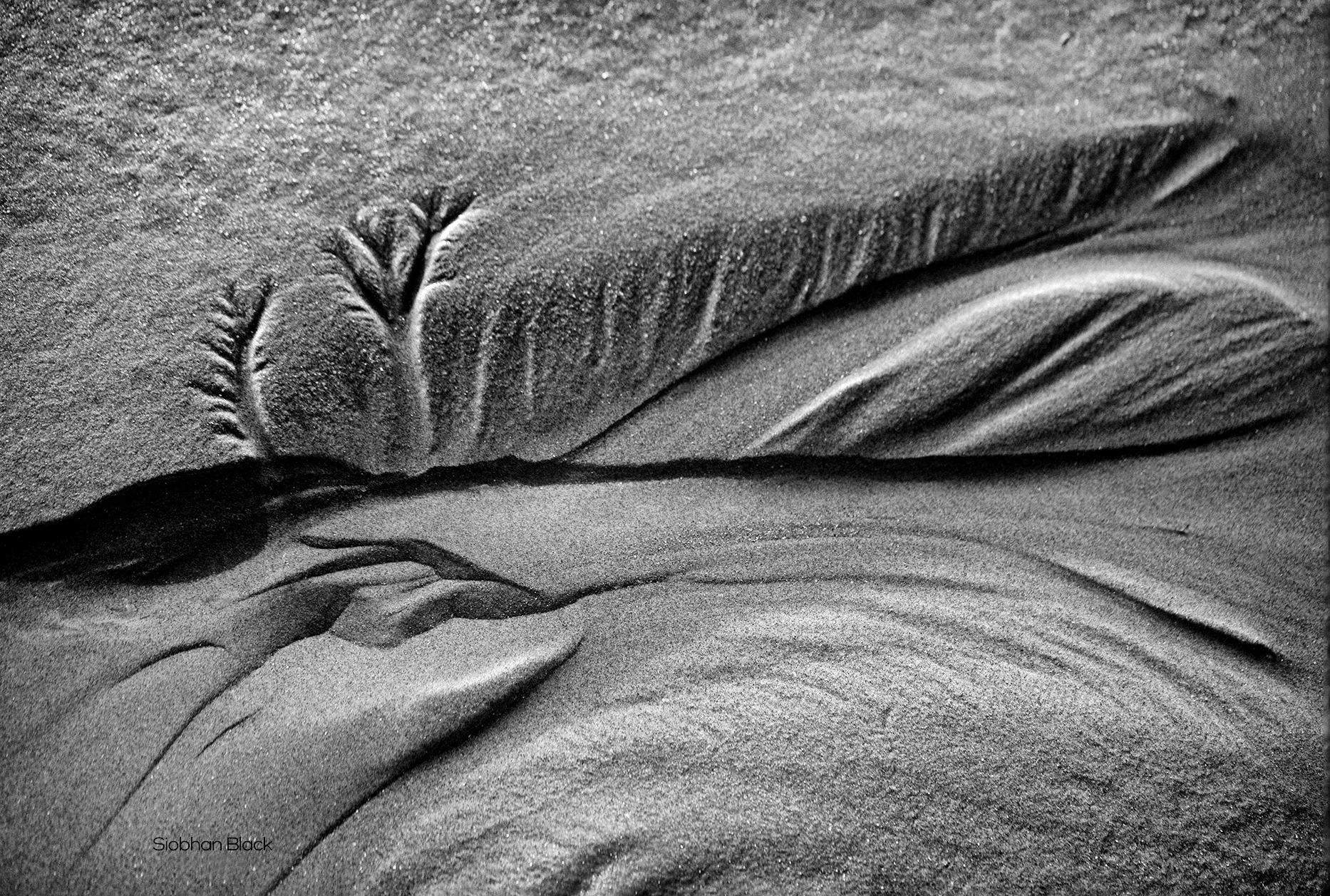 Sandscape
