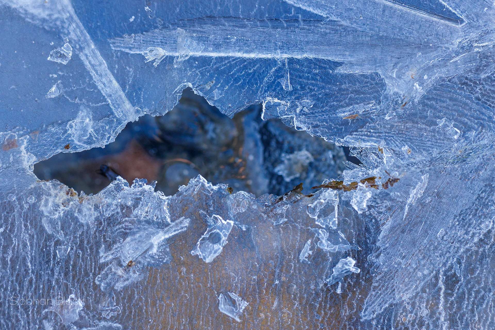 Under Ice