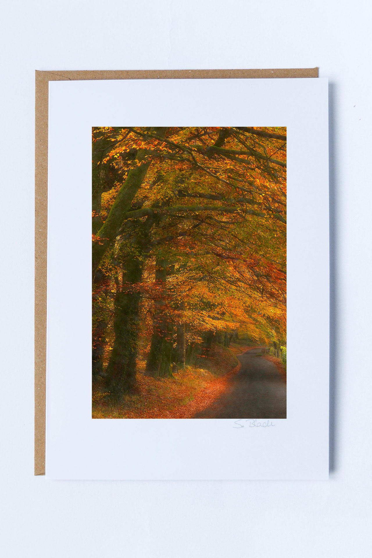 055 - Ravensdale