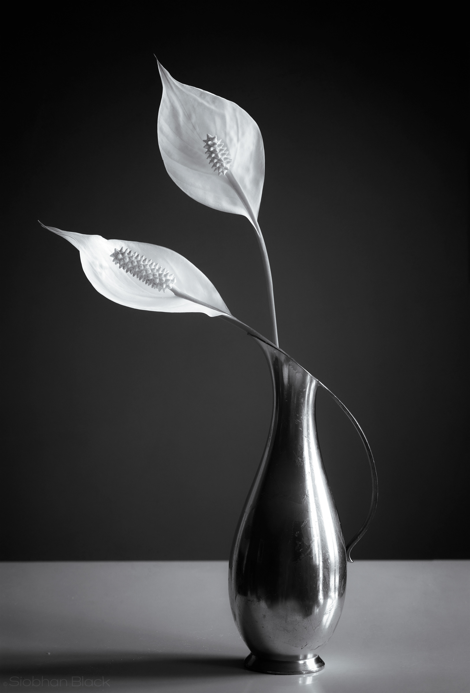 Peace Lilies
