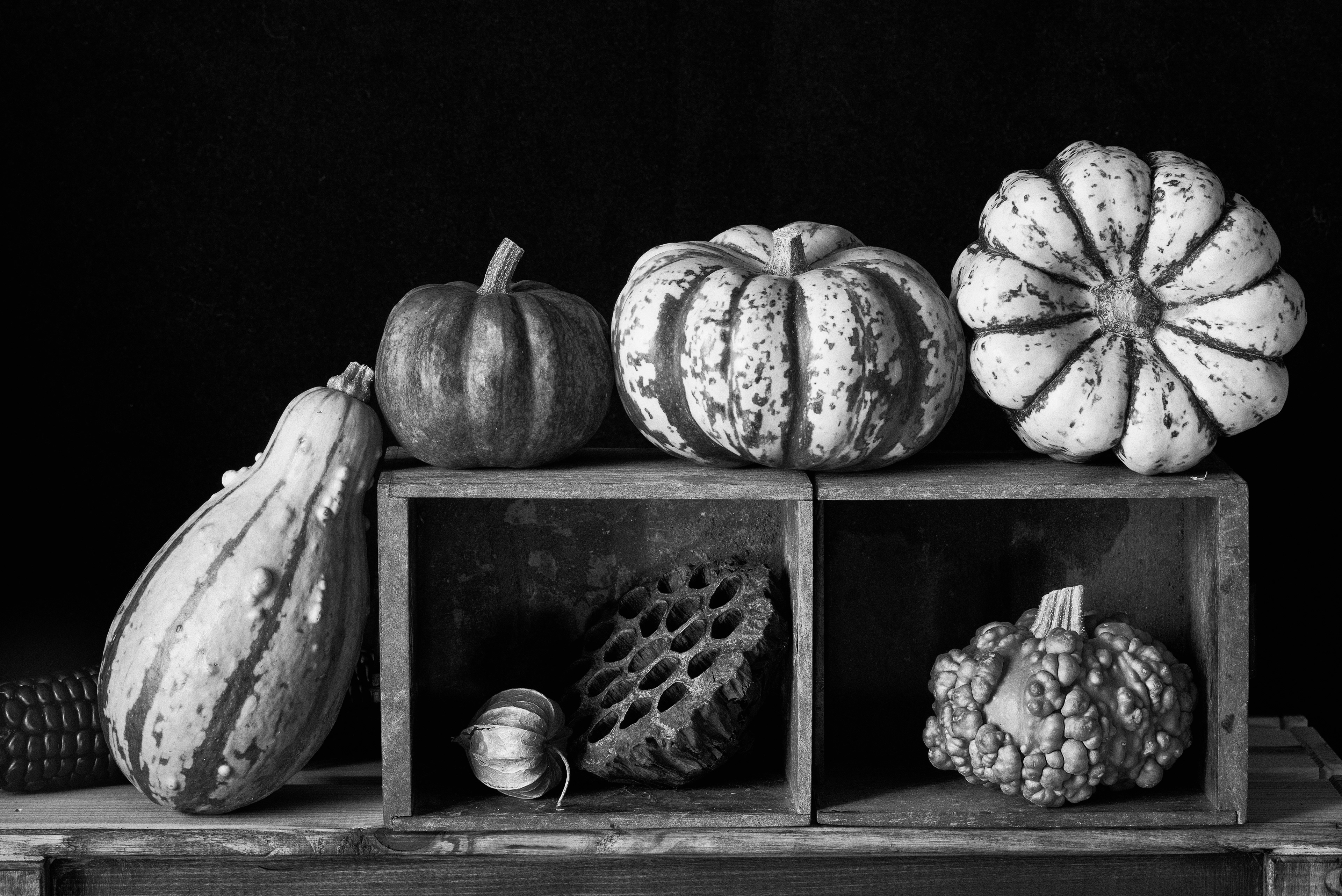 Pumkins and Gourds
