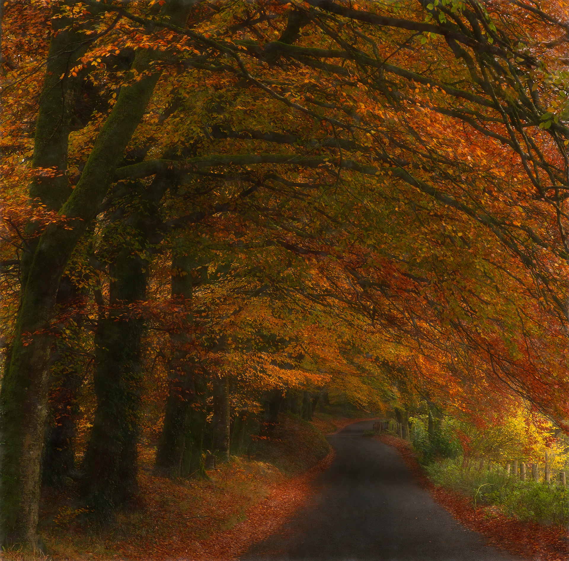 Autumn Hug