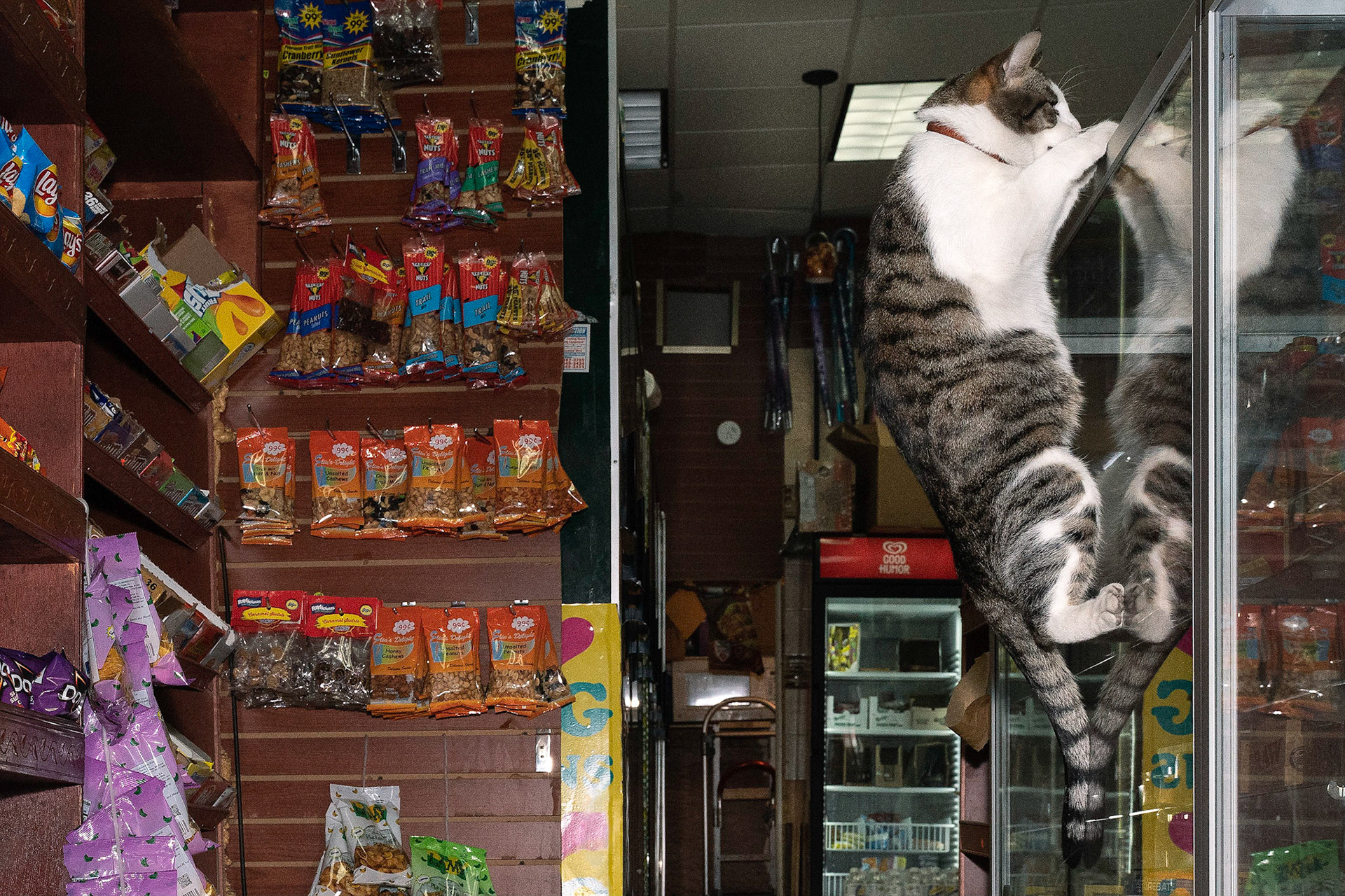 Lucky, Inwood