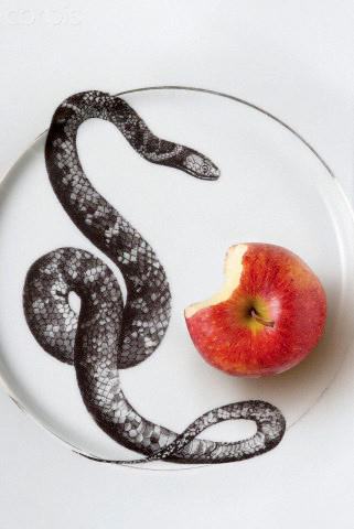 TARTUFFE : Design inspiration