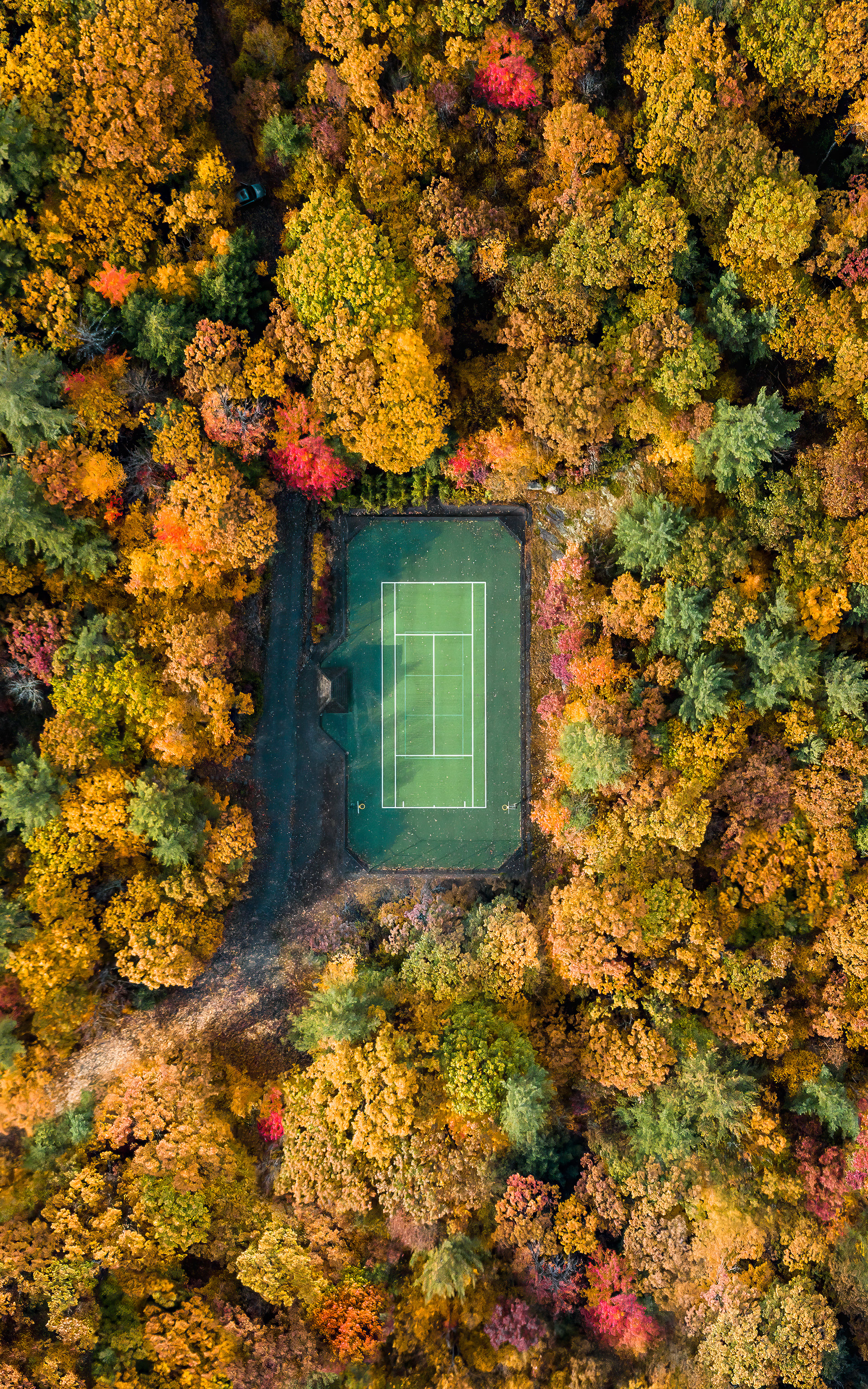 "Match Made in Fall", Ontario, Canada
