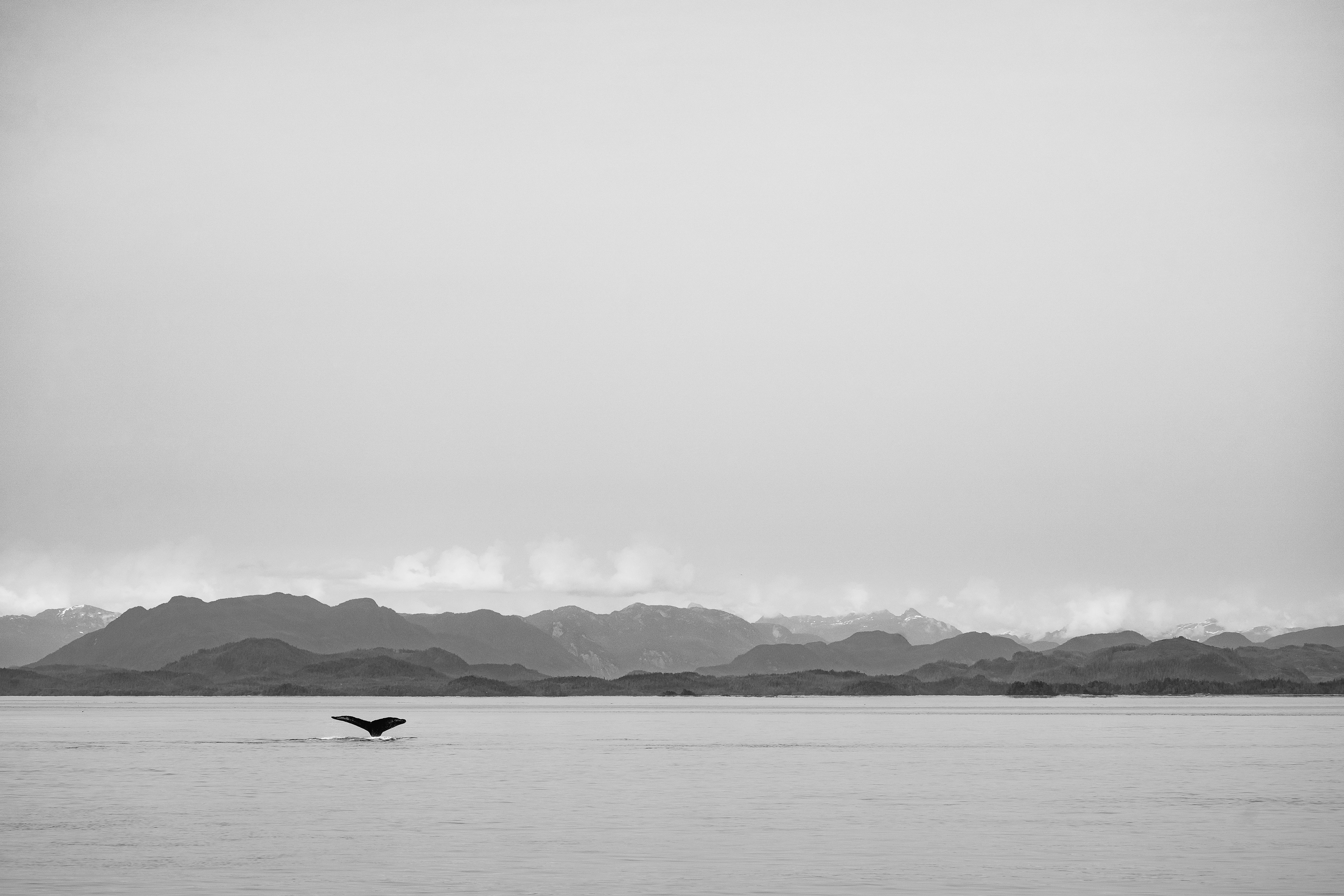 "The Fluke", British Columbia, Canada
