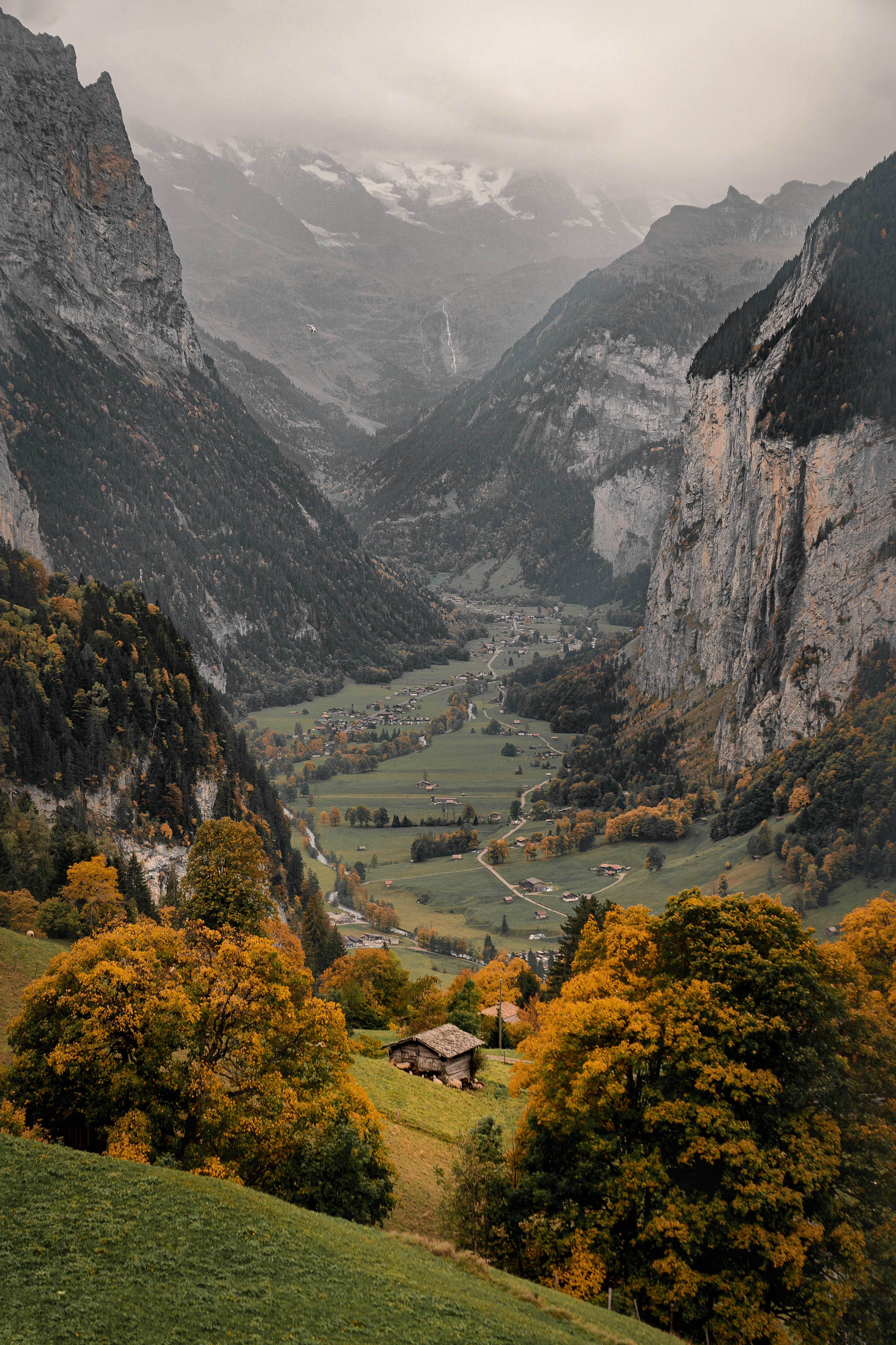 "Flying Solo", Switzerland