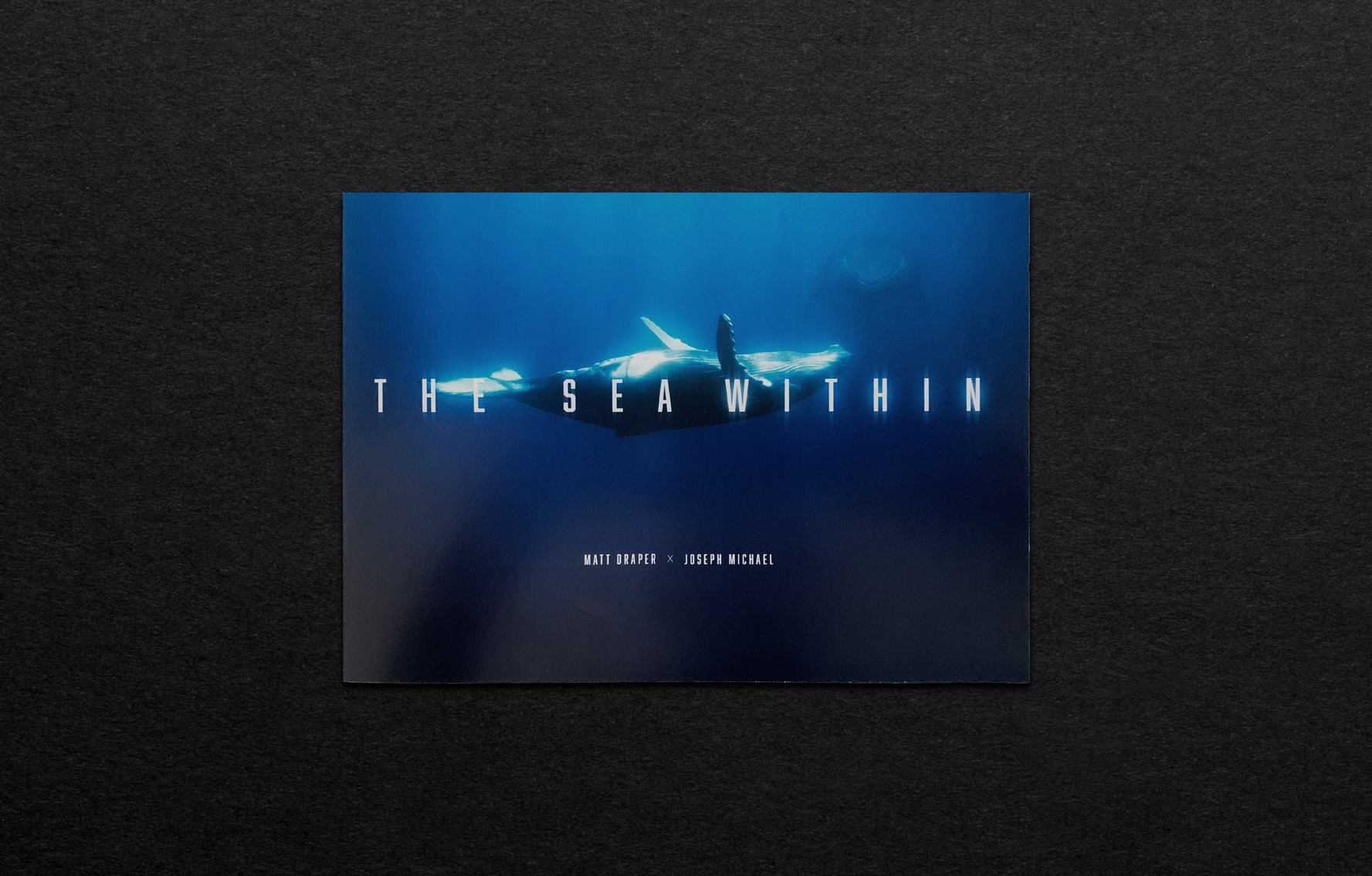 THE SEA WITHIN - COVER PAGE