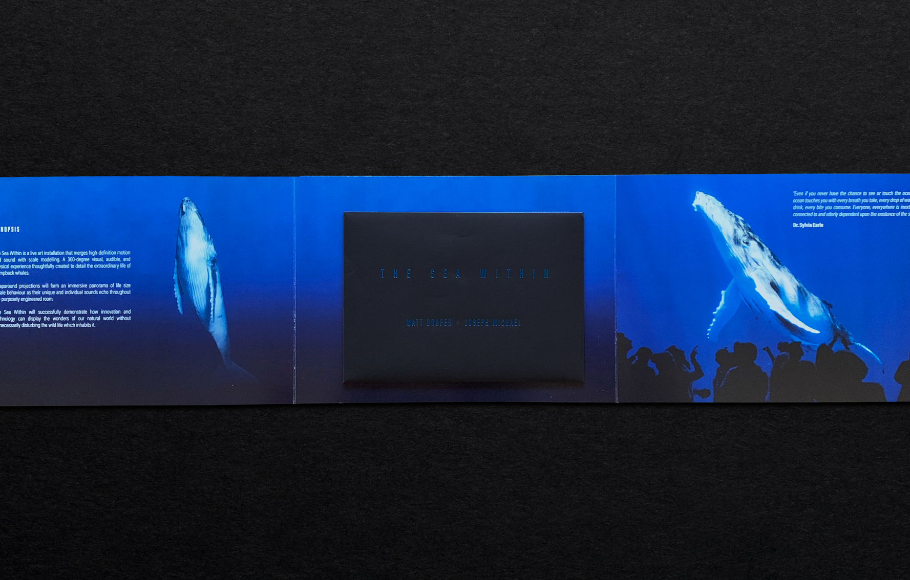 THE SEA WITHIN - INSIDE SIDE