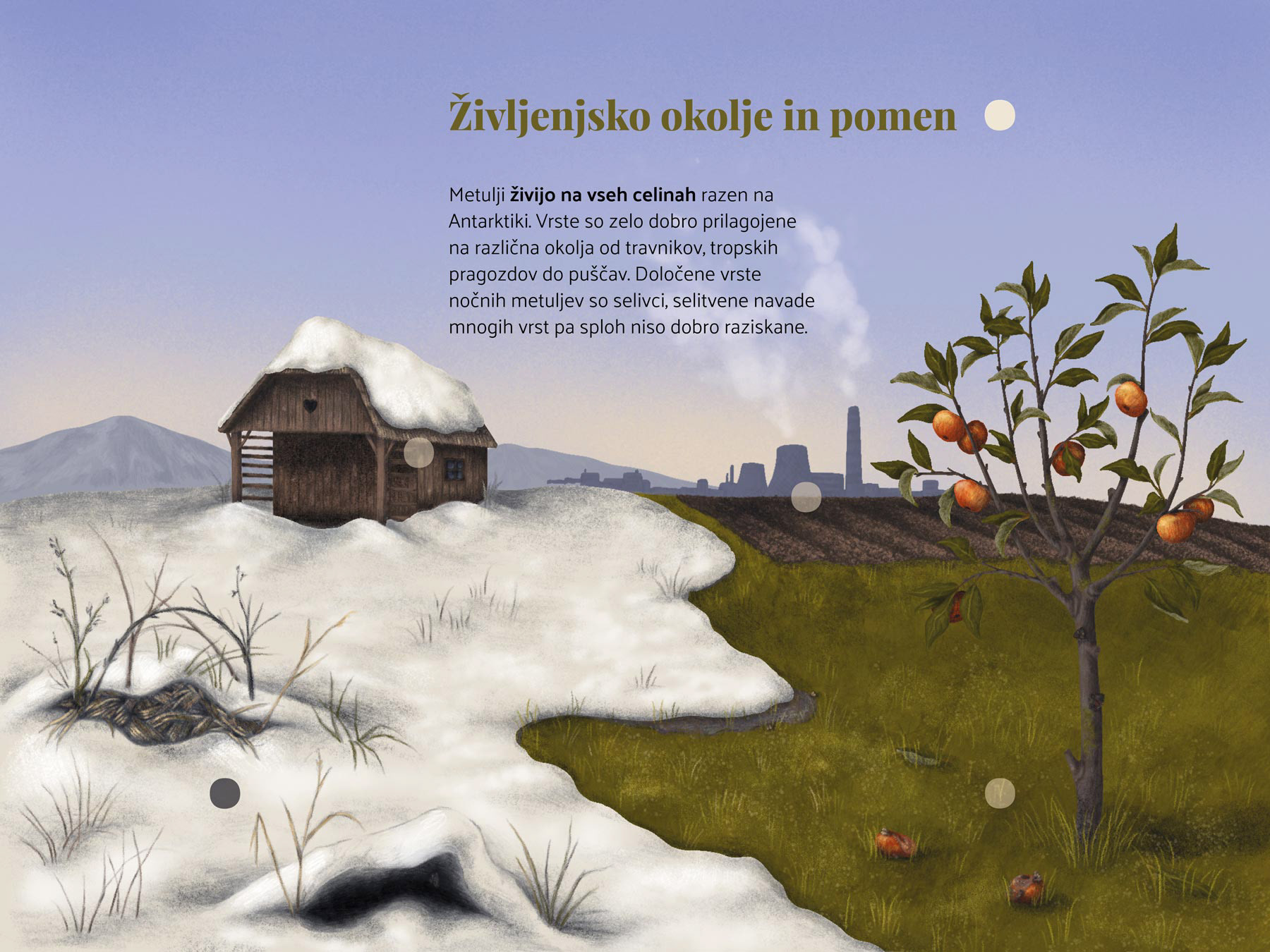 Peta stran knjige – življenjsko okolje in pomen – jablana na travniku, v ozadju njiva, skedenj in obris mesta.
