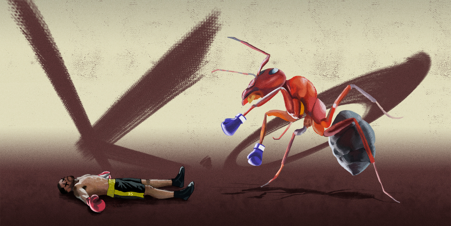 Ant boxing