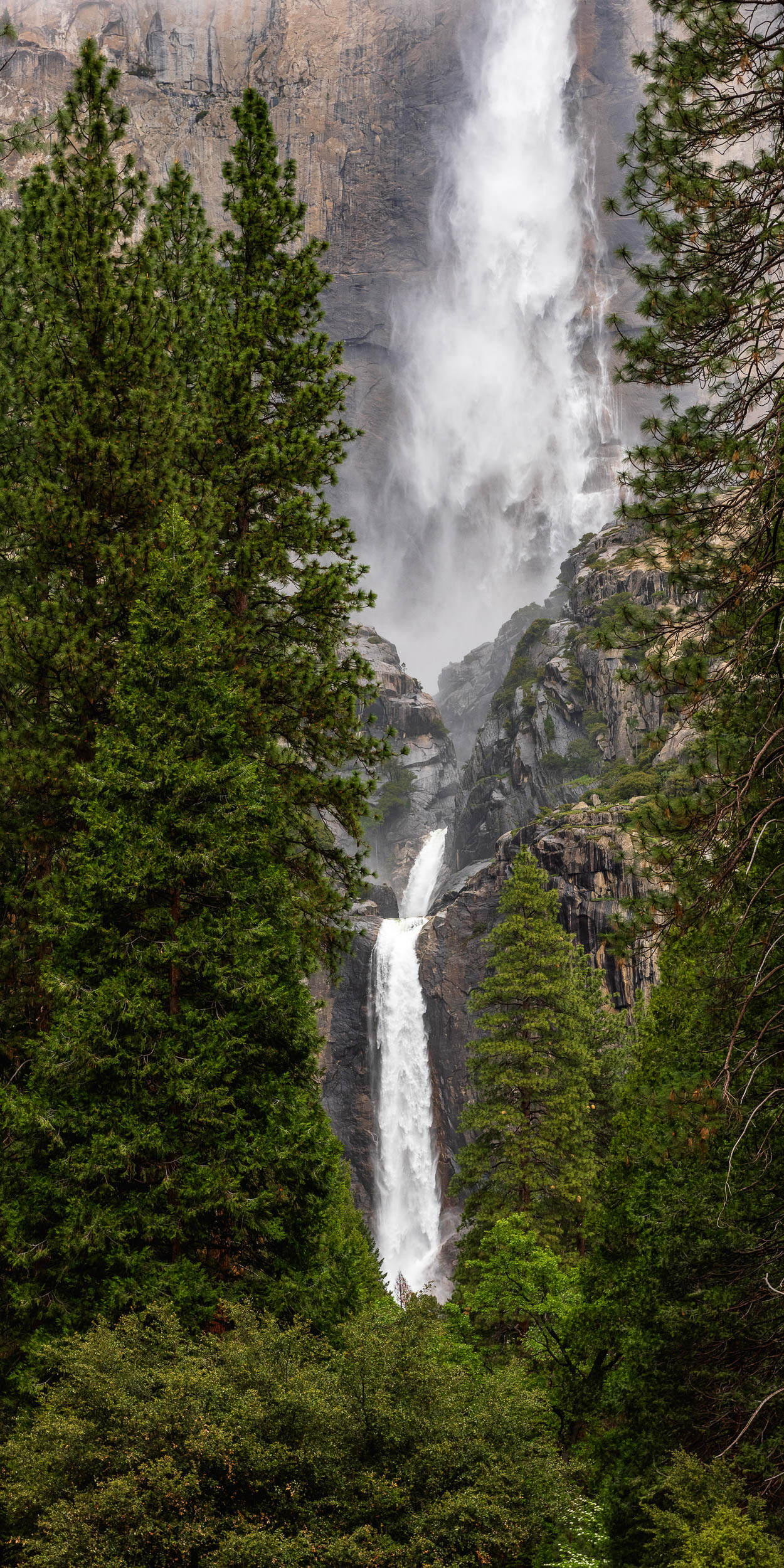Yosemite Falls Vertical Panorama