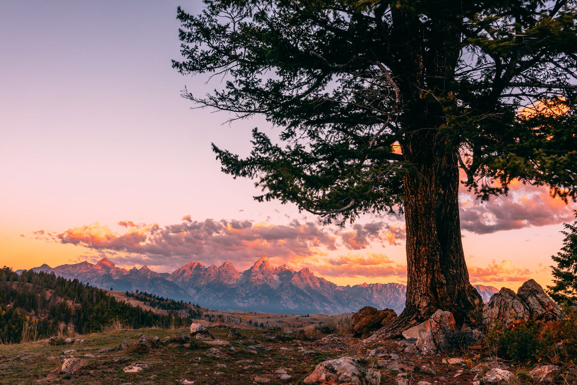 Tetons Sunrise