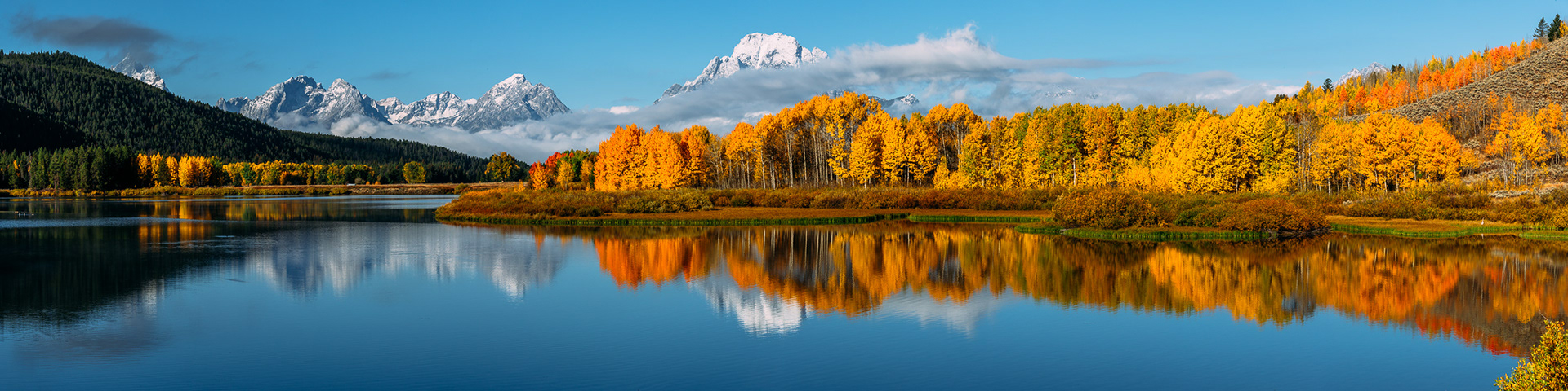Oxbow Bend Autumn Reflection Panorama