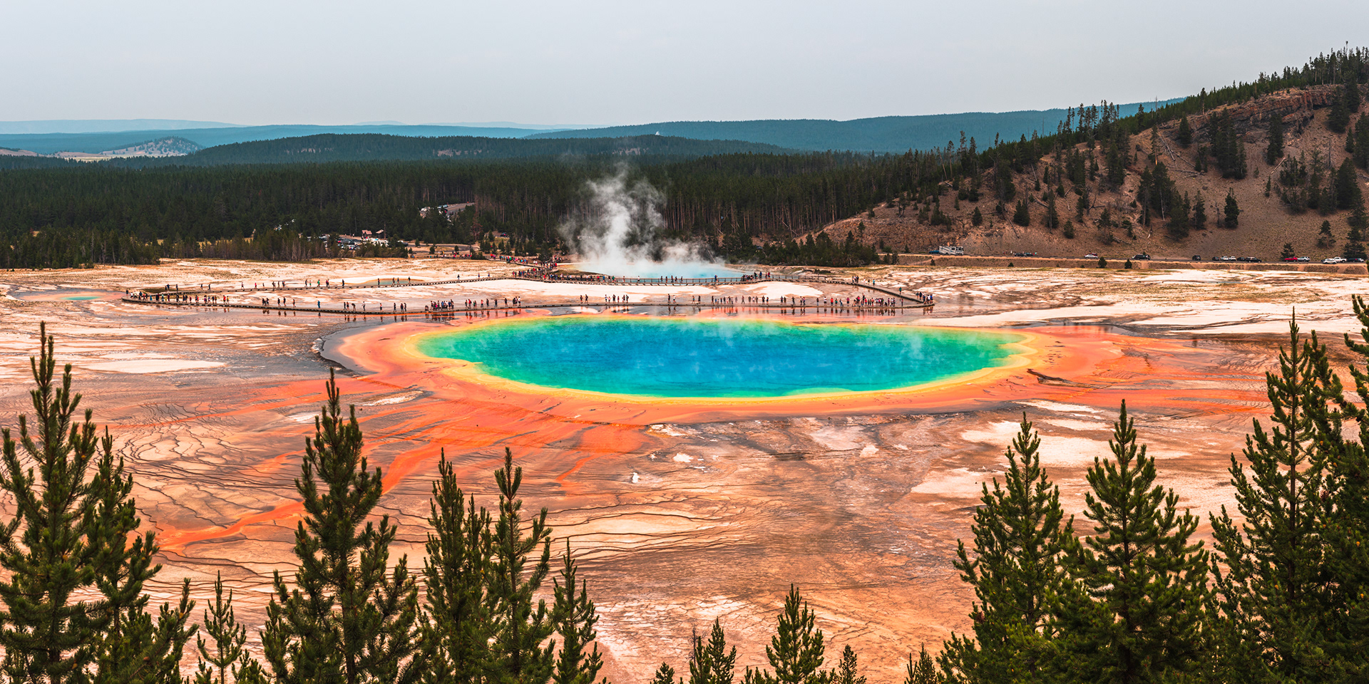 Panorama Overlooking Grand Prismatic Spring Being Enjoyed by Many People on the Boardwarlks