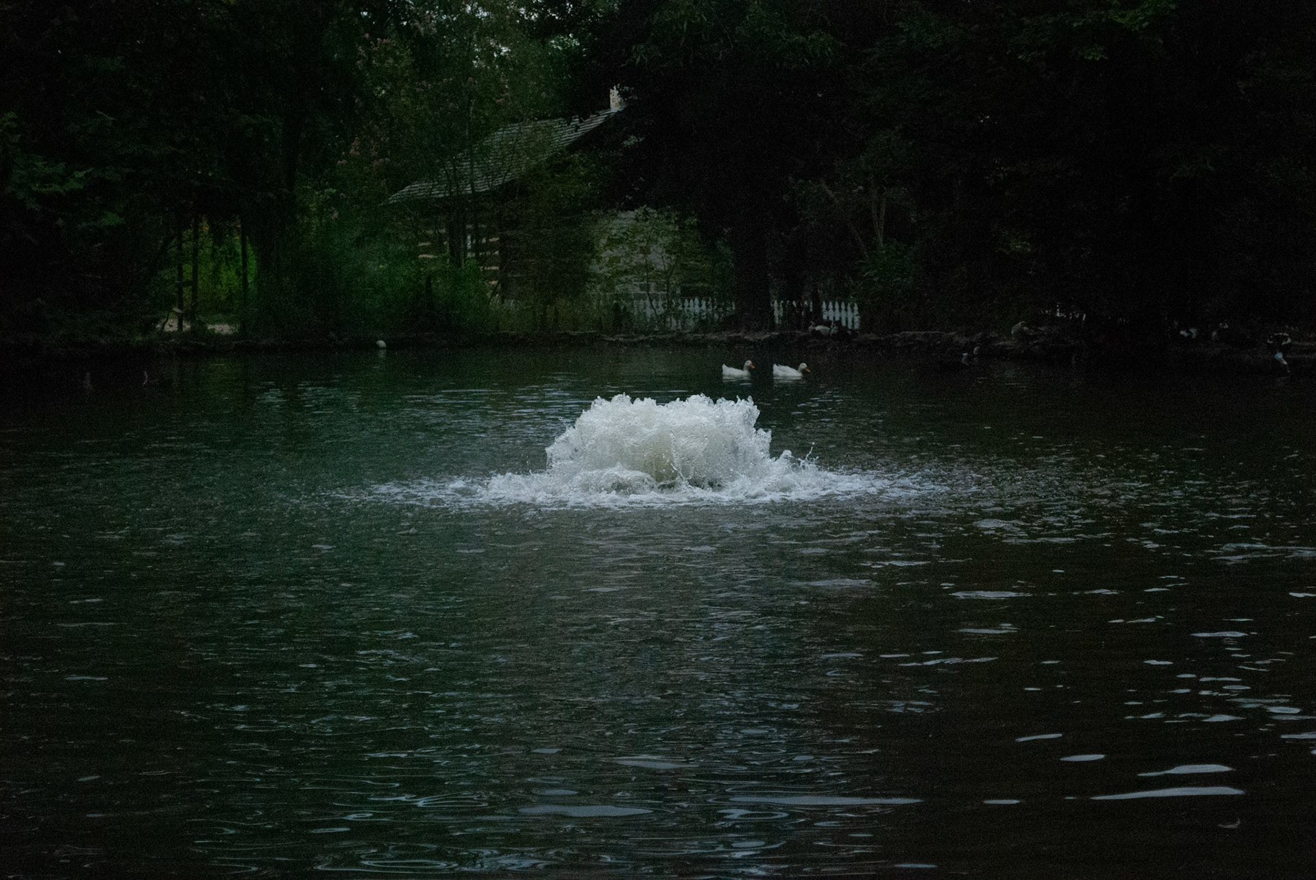 Slow Shutter Fountain - Nikon D60 - 2021