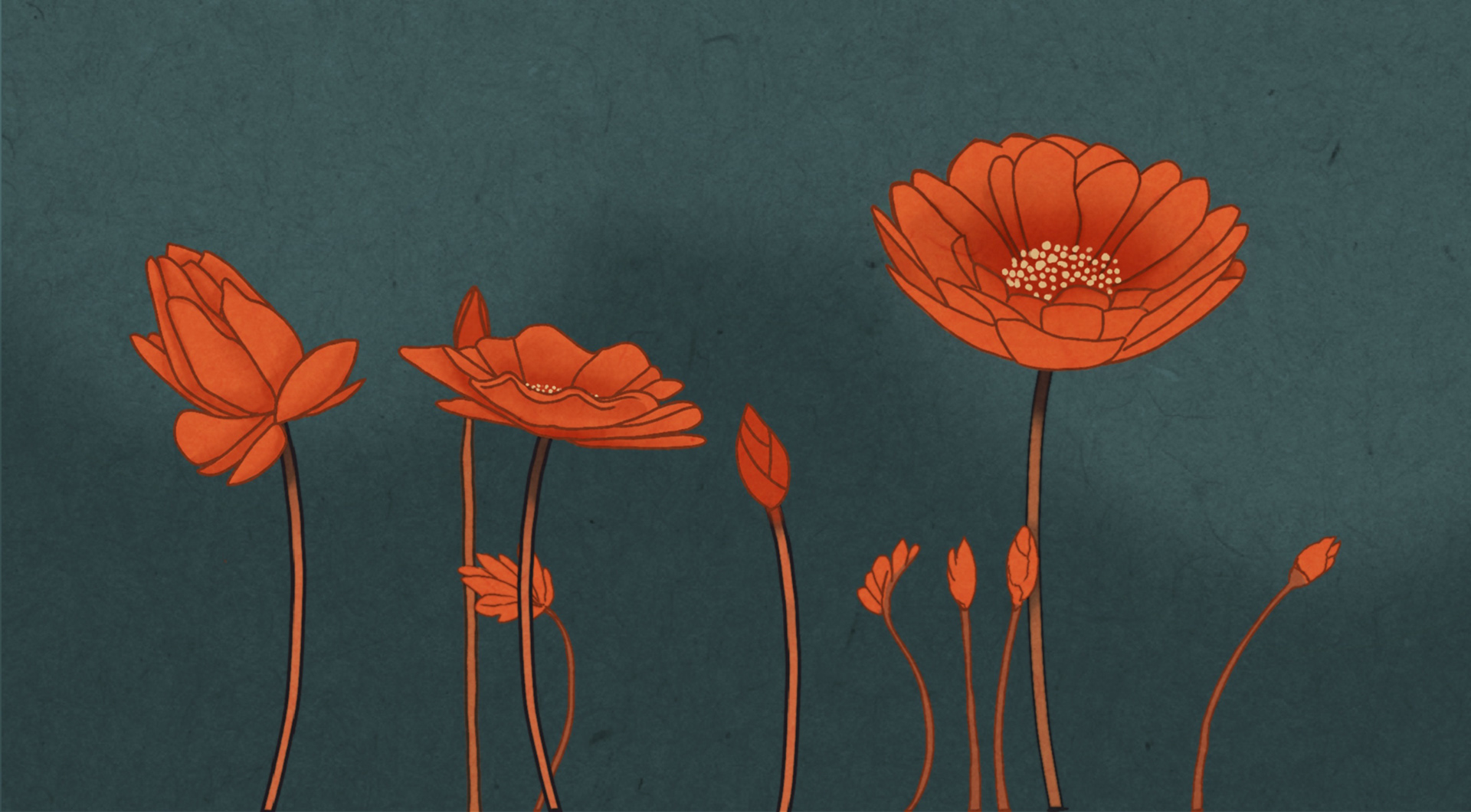 Egen illustration.