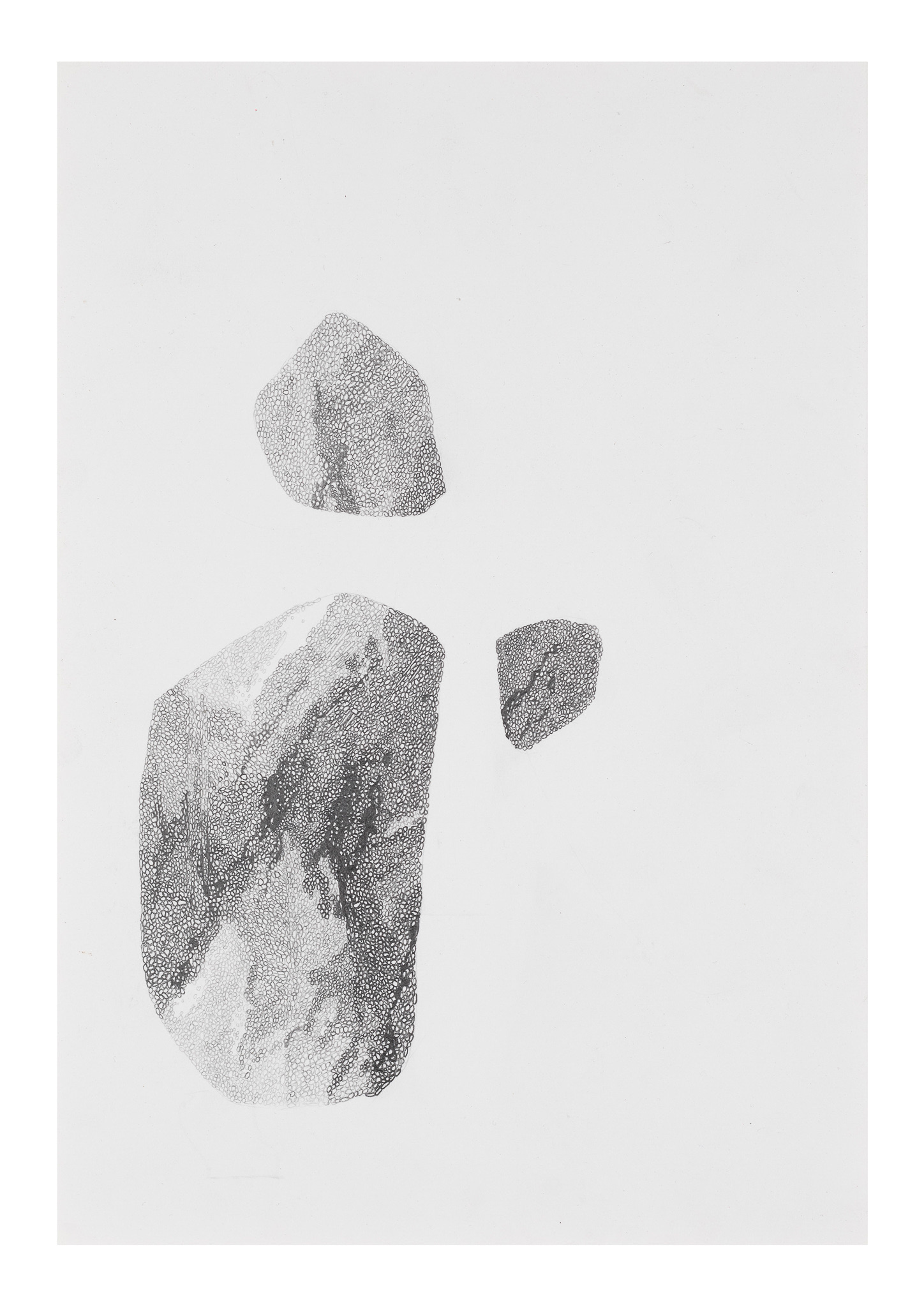 O.T. 21,7 x 27,9 cm, Bleistift auf Papier, 2018