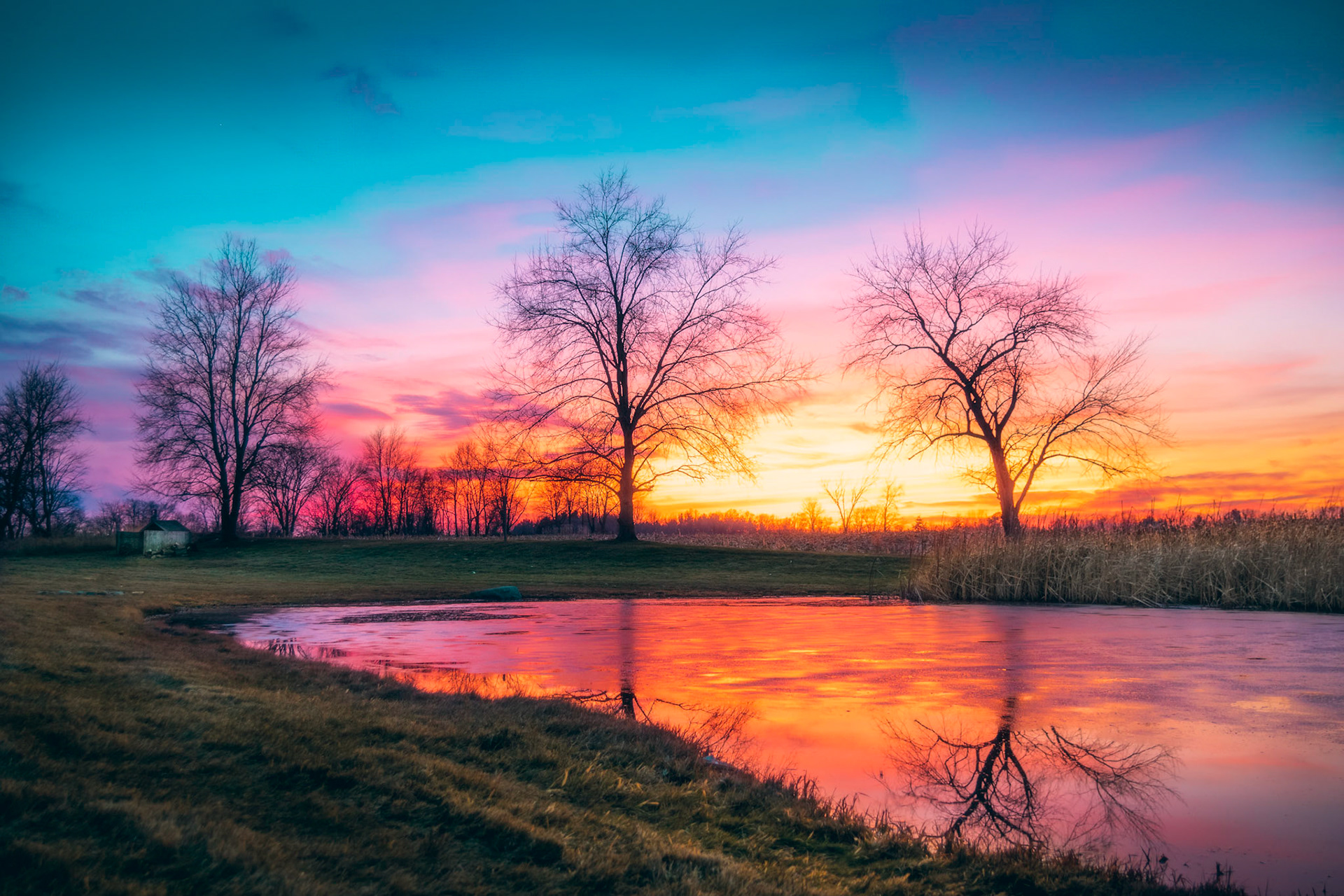 Munith, MI