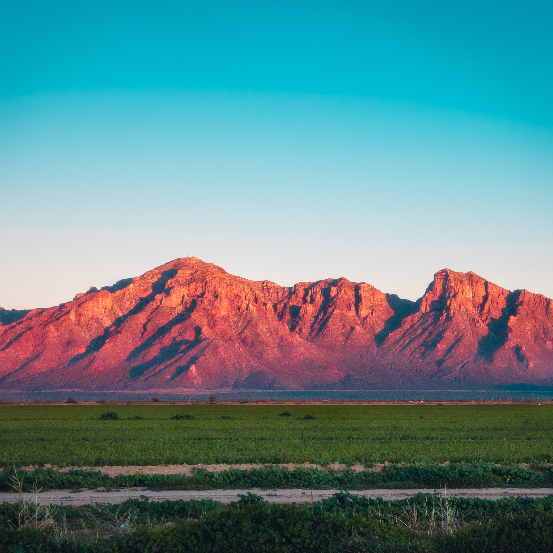 Eloy, AZ