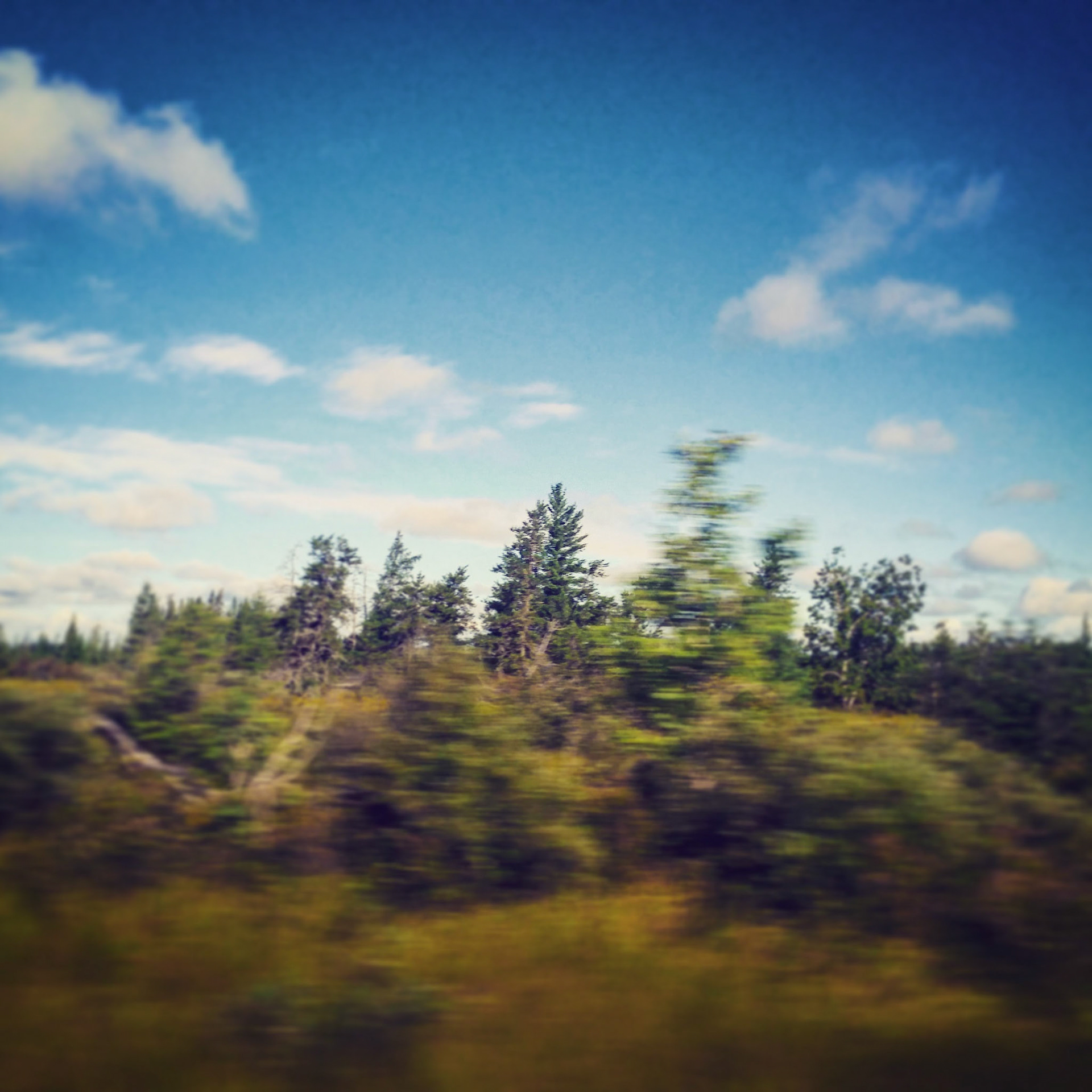 Newberry, MI
