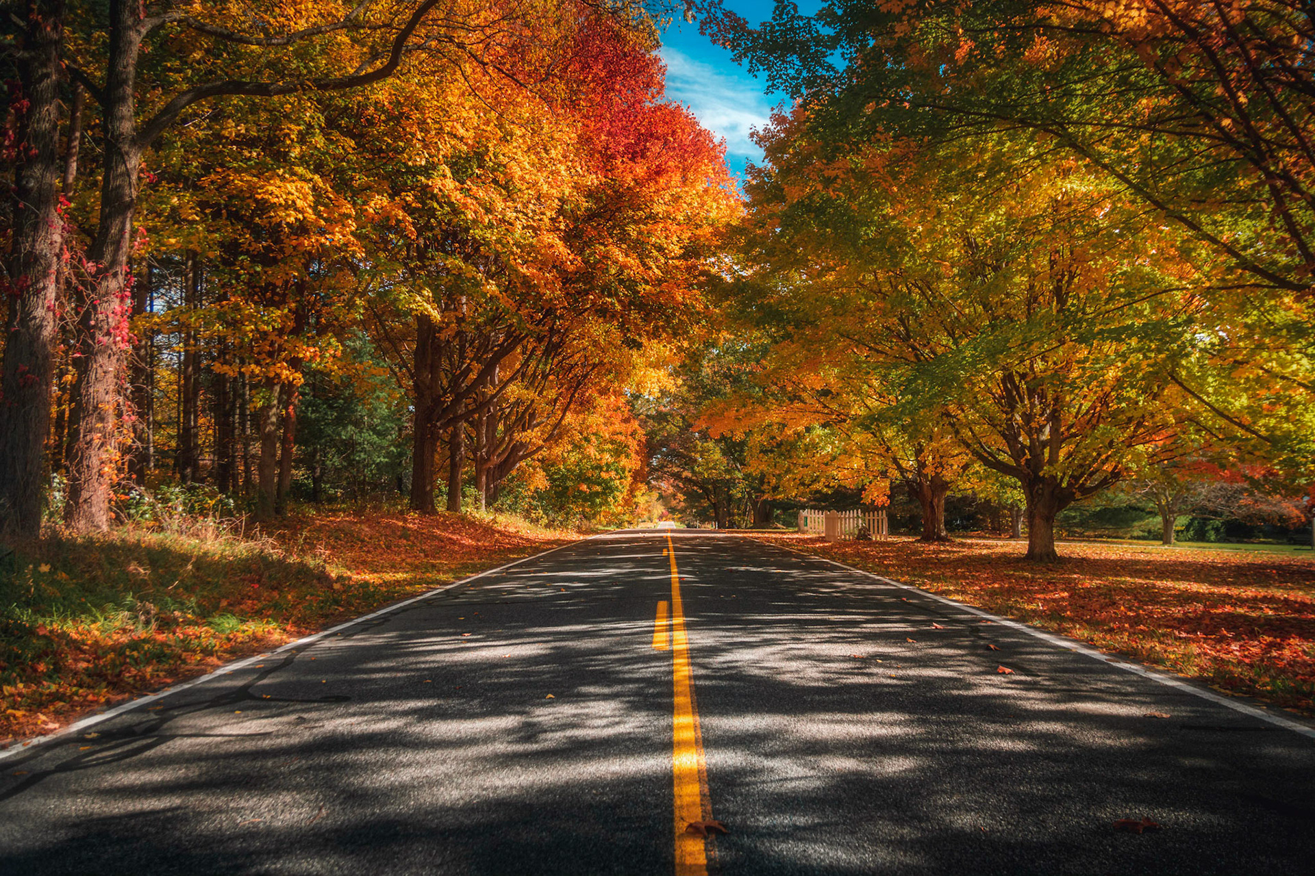 Rives Junction, MI