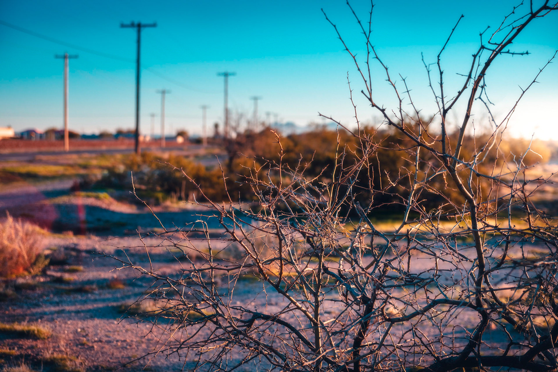 Eloy, AZ