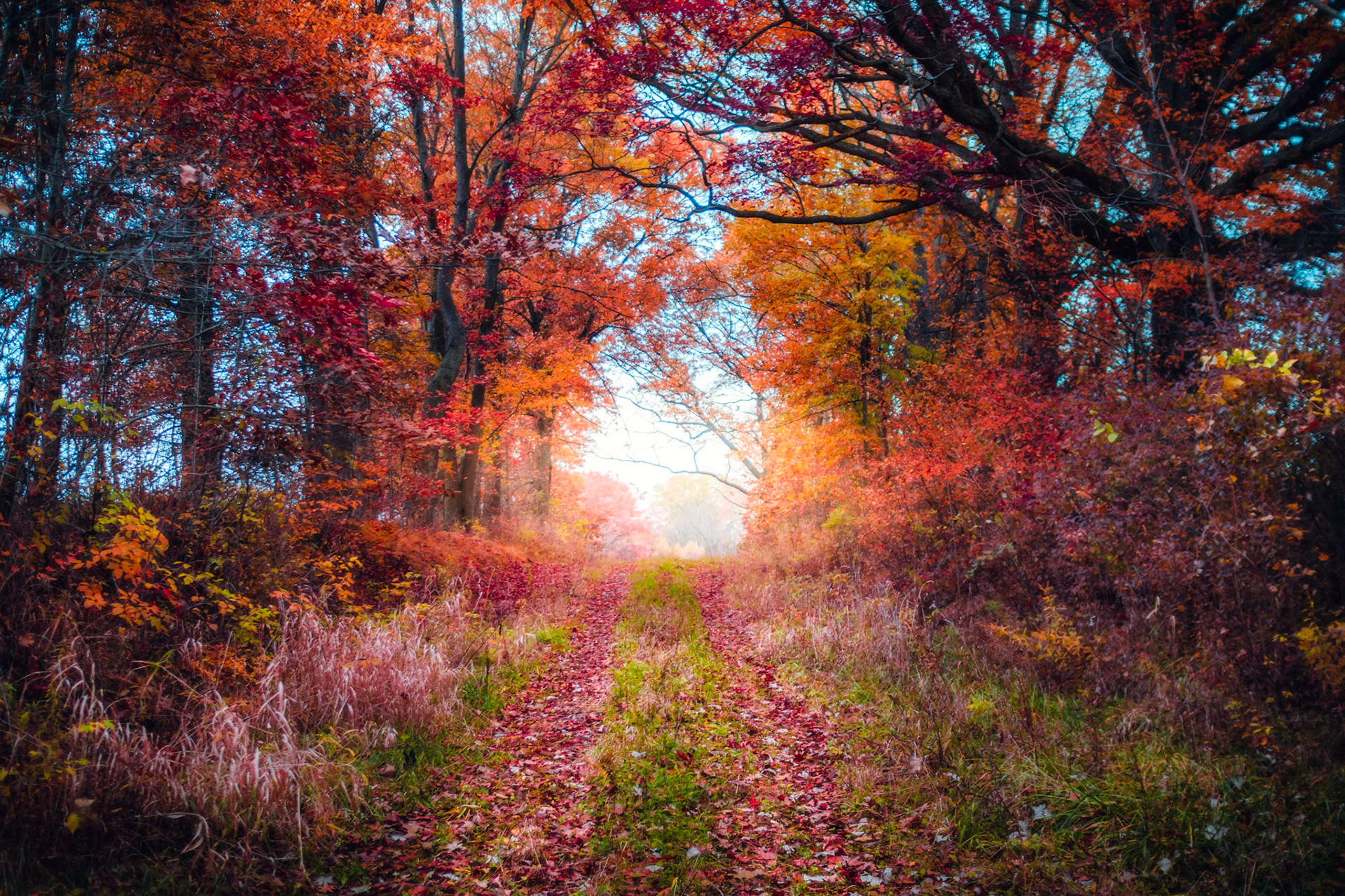 Rives Junction, MI