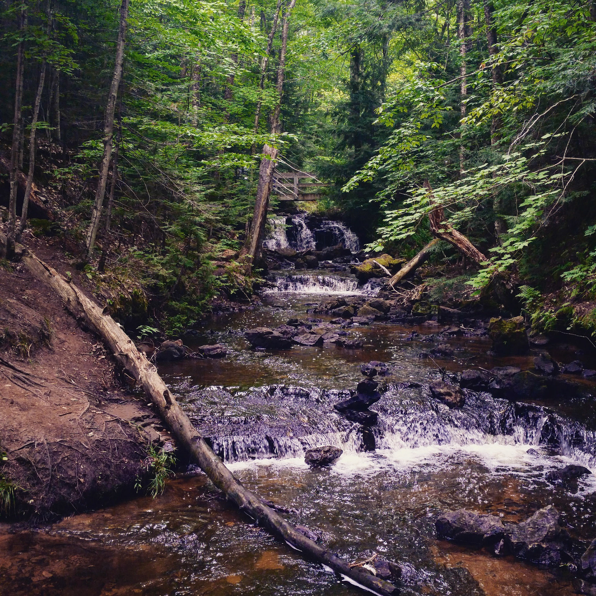 Chapel Falls, MI