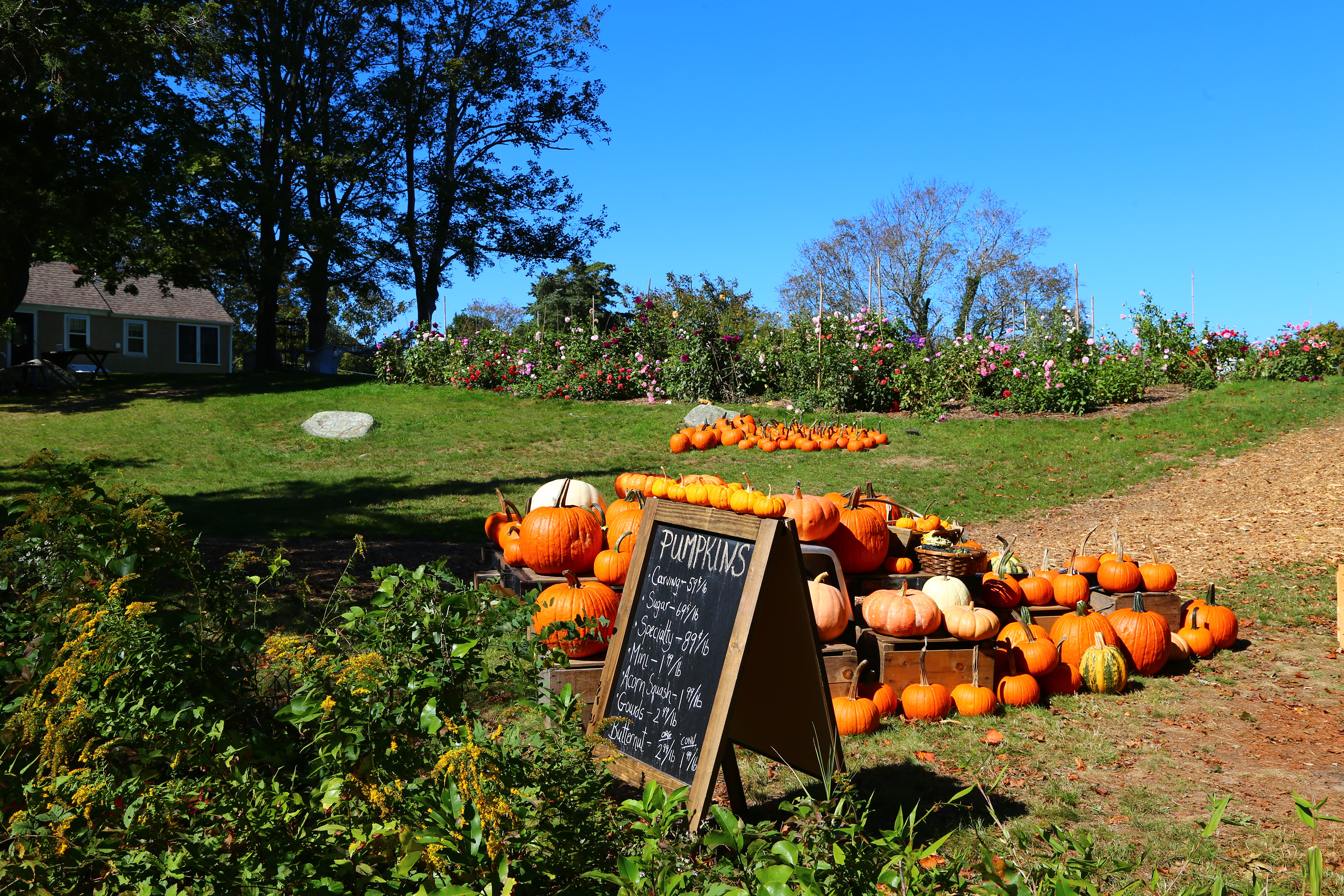 All Shapes and Sizes