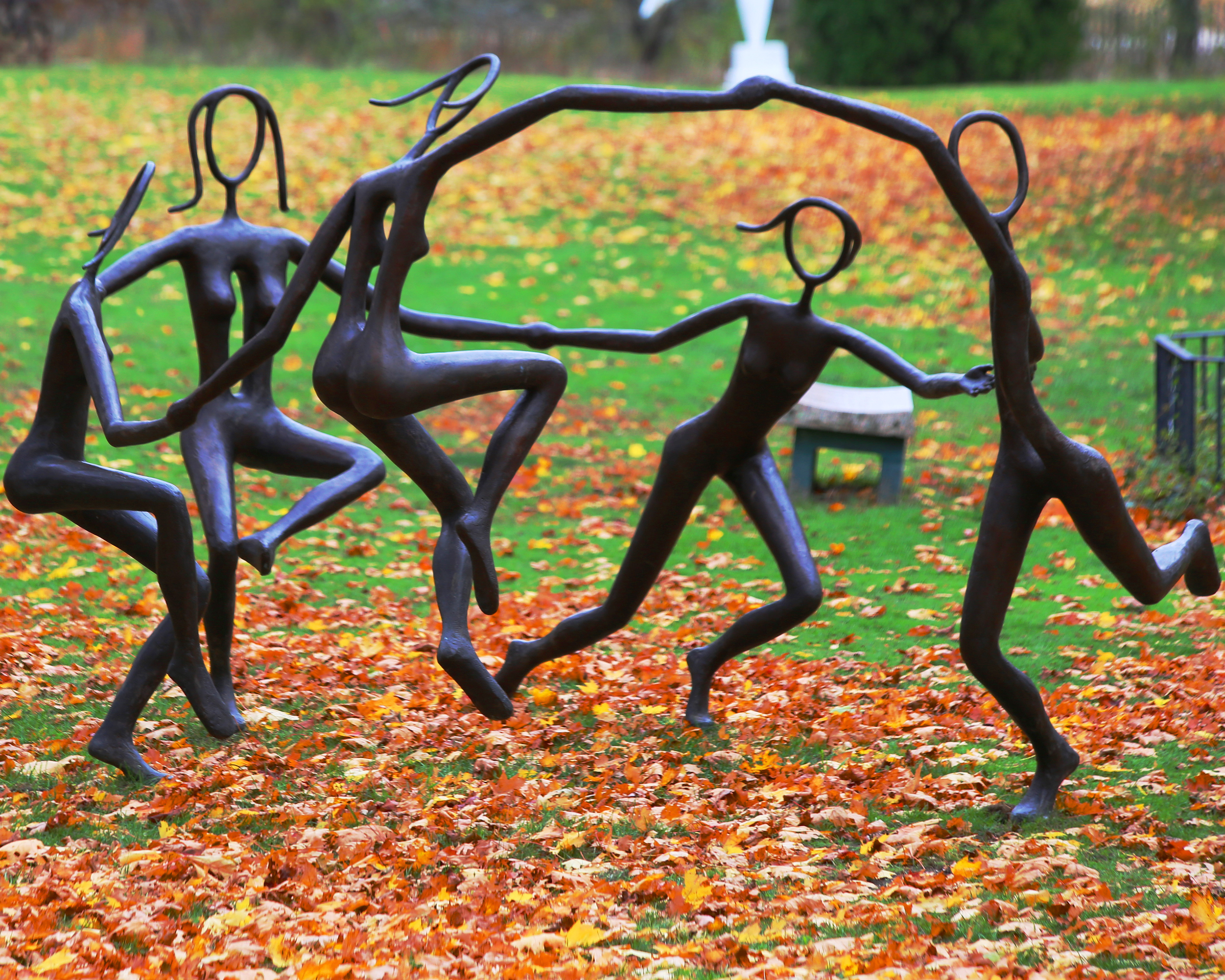 Playing in the Leaves