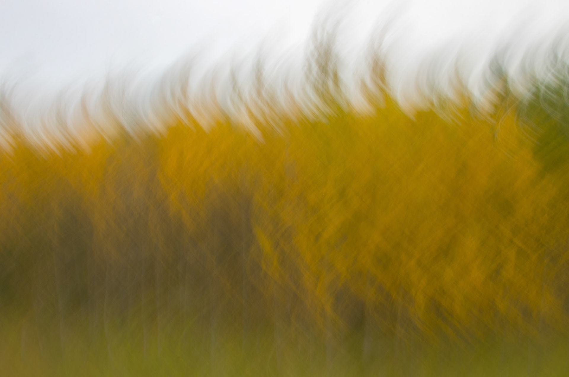 taken near Bashaw, AB