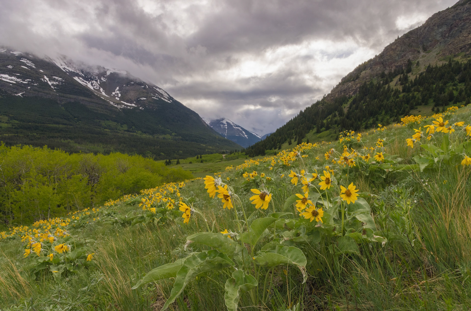 taken in Waterton Lakes NP, AB