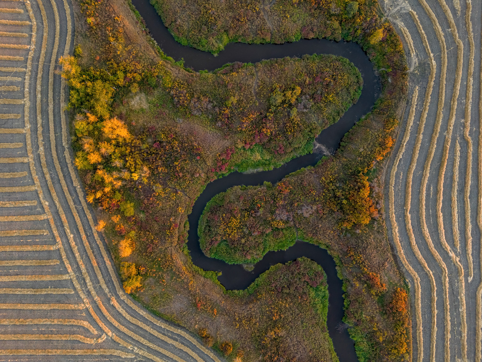 Meandering Between the Lines